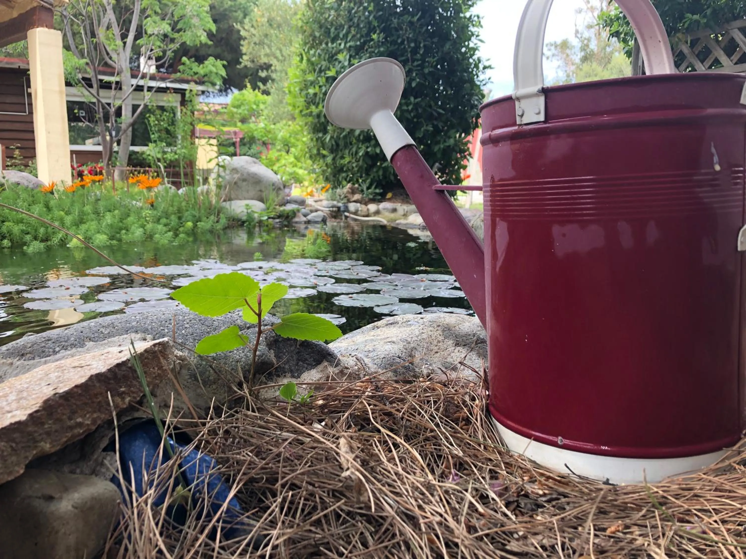 Garden in Casa di Floumy
