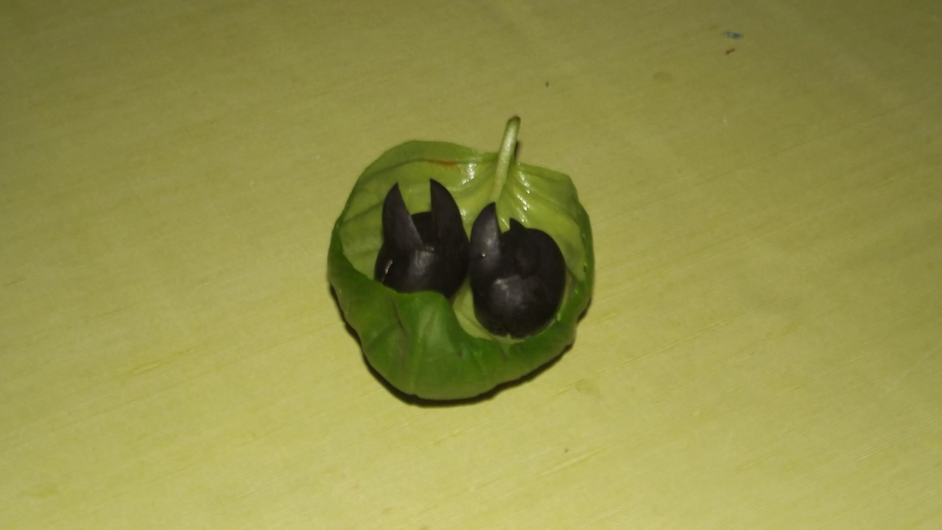 Meals in Casa di Floumy