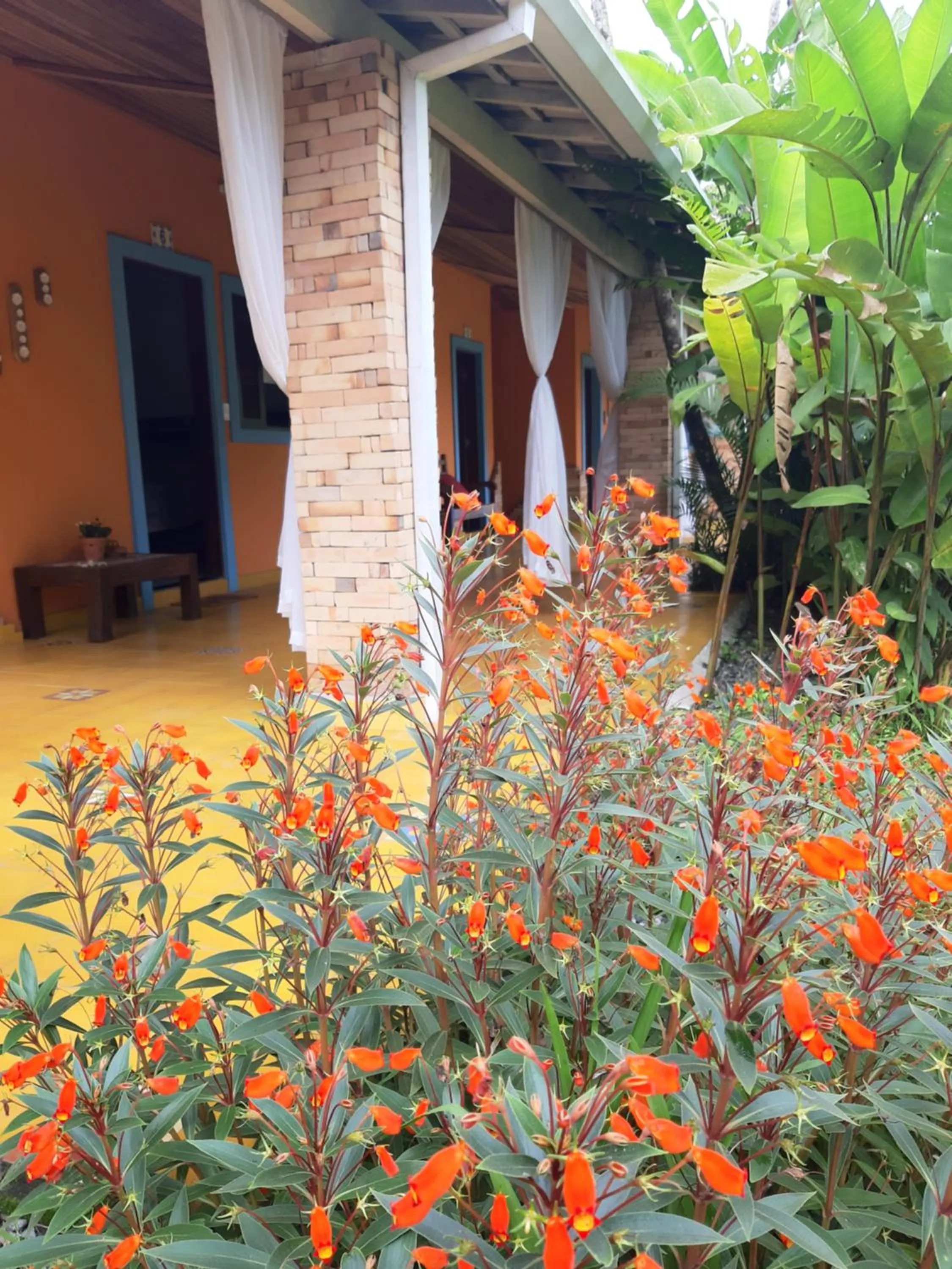 Garden view in Pousada Canoa Caiçara Ilhabela