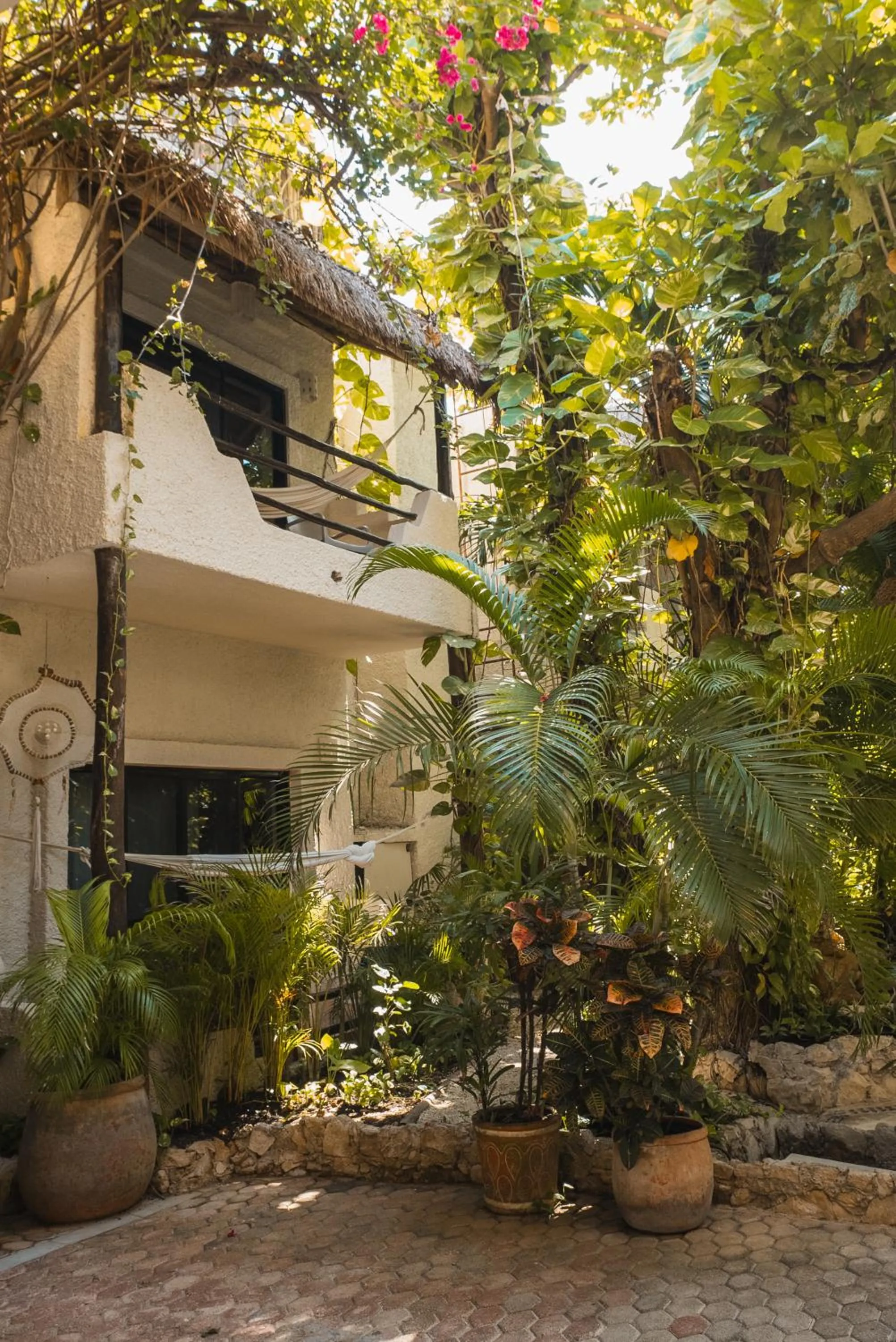 Garden in Hotel Casa Colibri