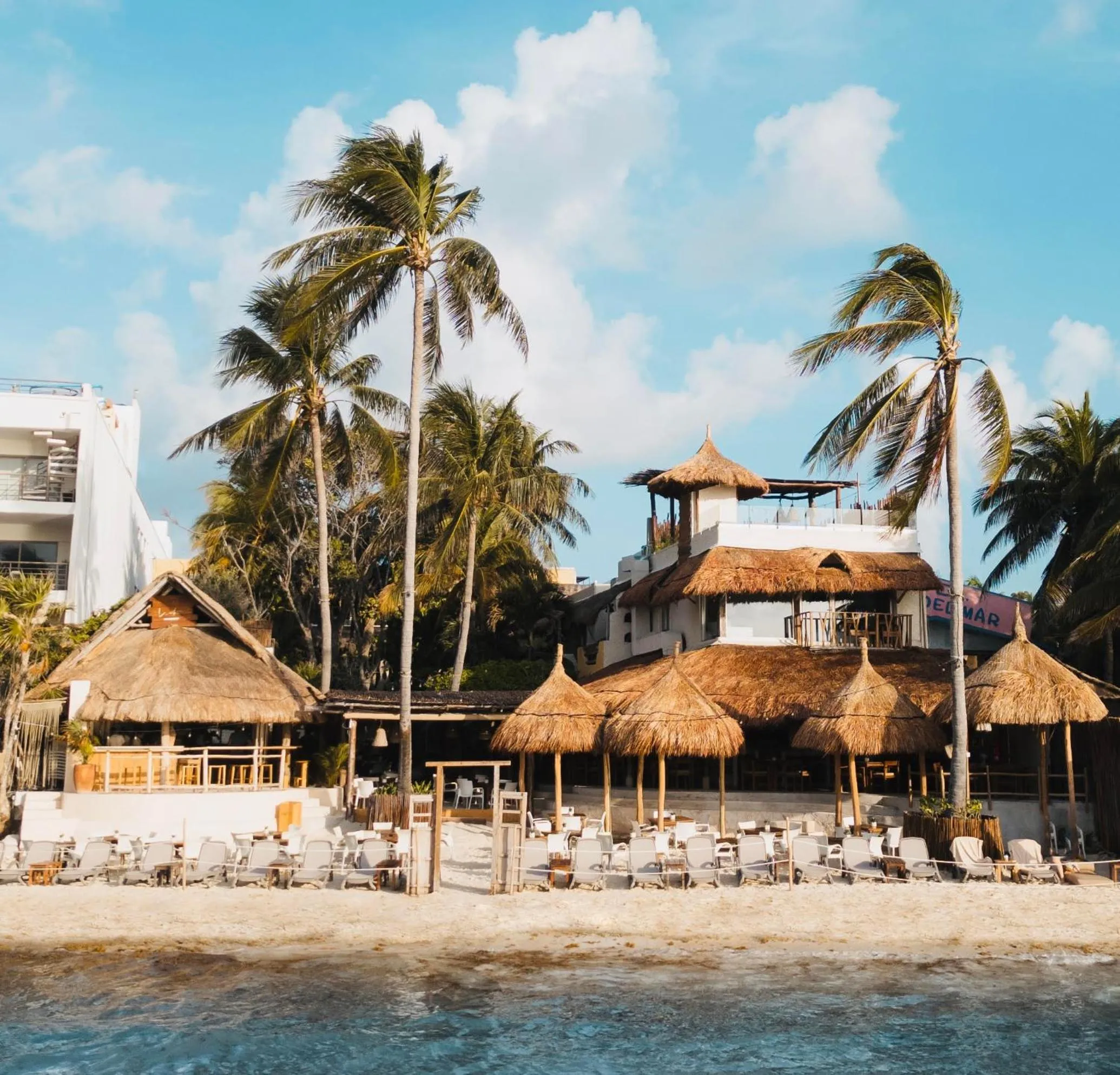 Restaurant/places to eat in Hotel Casa Colibri