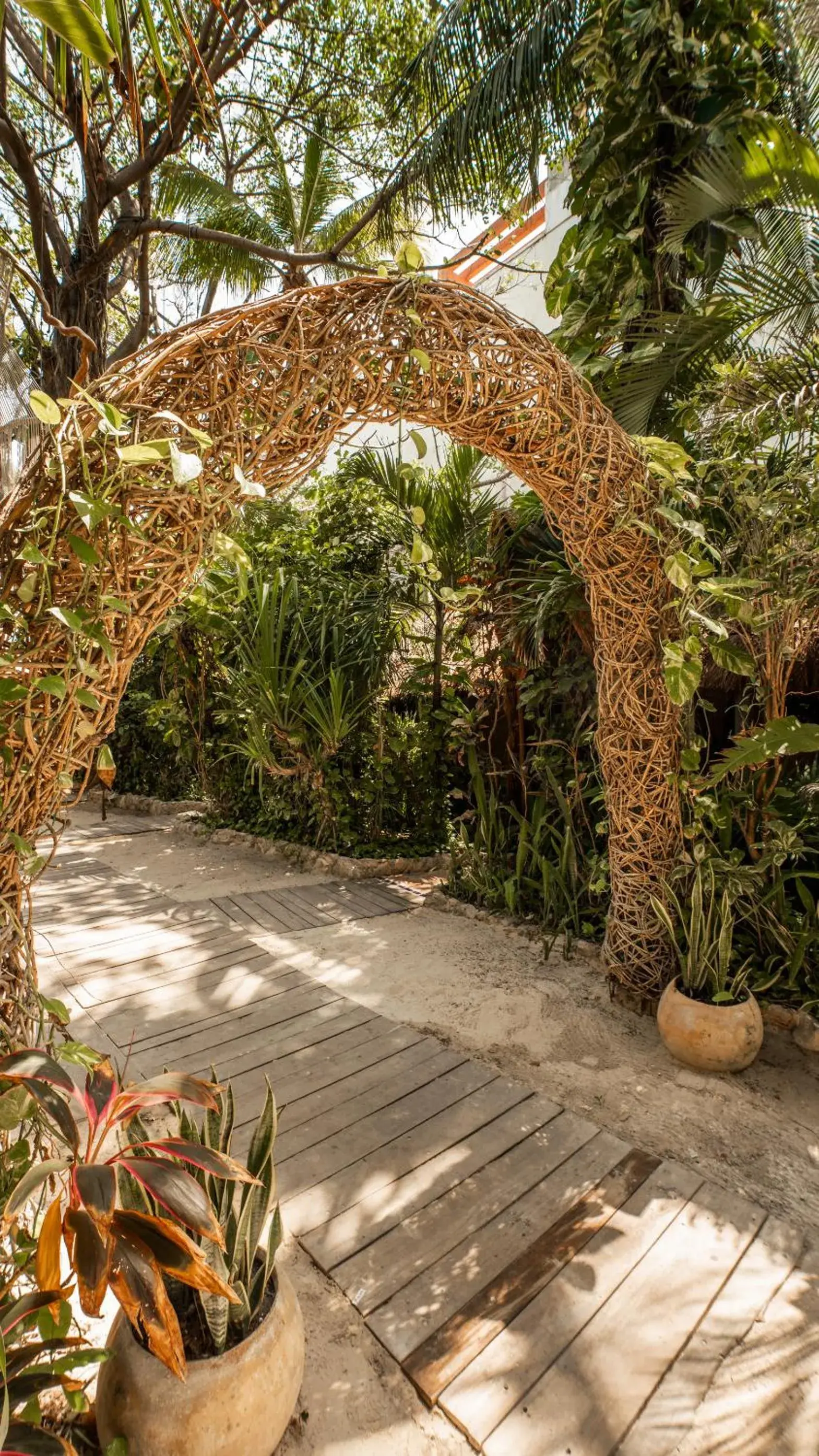 Garden view in Hotel Casa Colibri Garden view in Hotel Casa Colibri