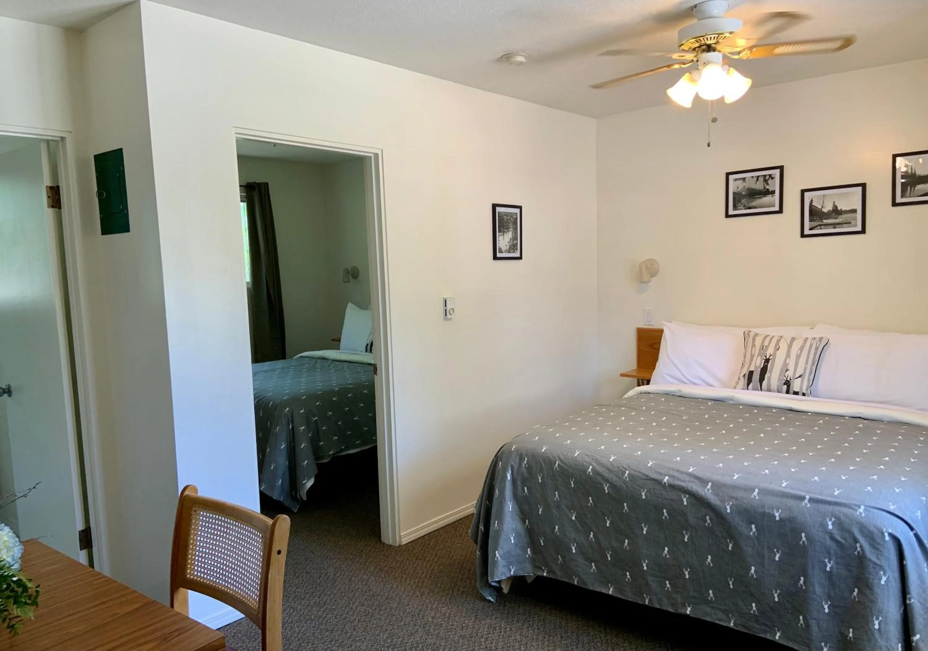 Bed in Mountain Springs Motel