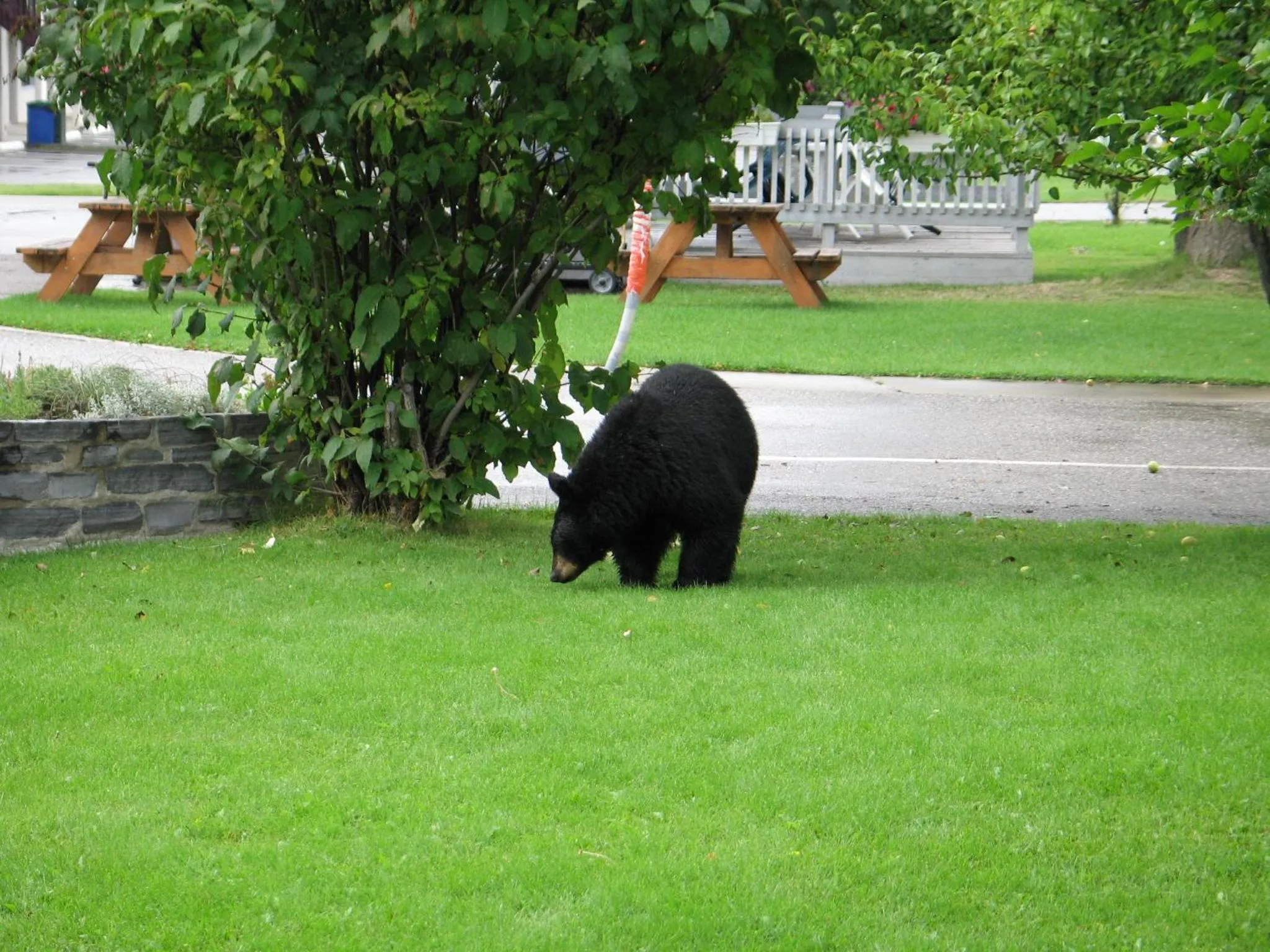 Facade/entrance in Mountain Springs Motel