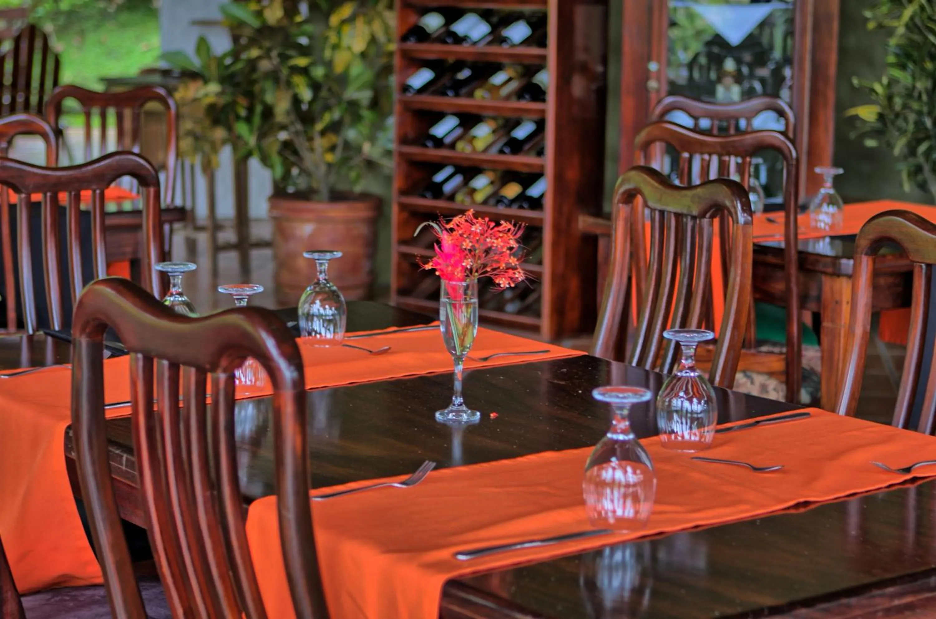 Restaurant/places to eat in Hotel Mountain Paradise