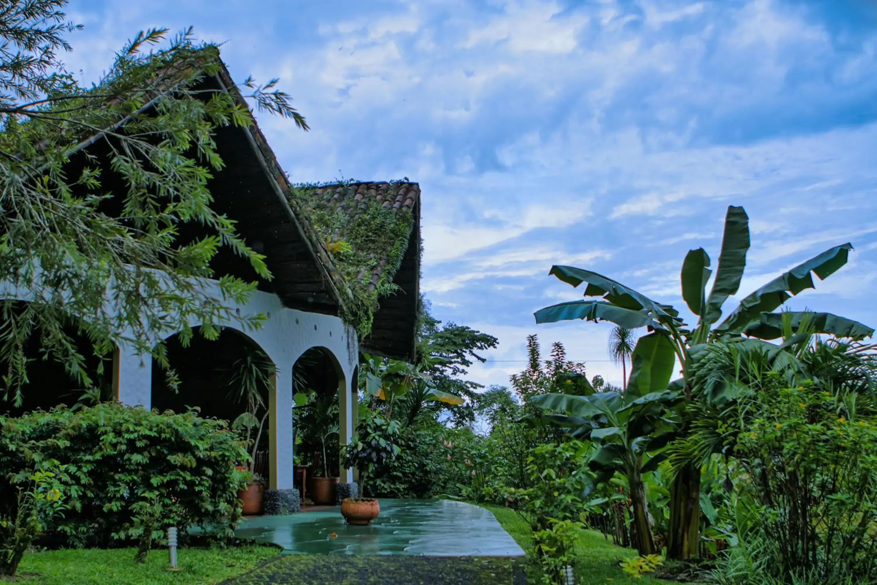 Facade/entrance in Hotel Mountain Paradise Facade/entrance in Hotel Mountain Paradise