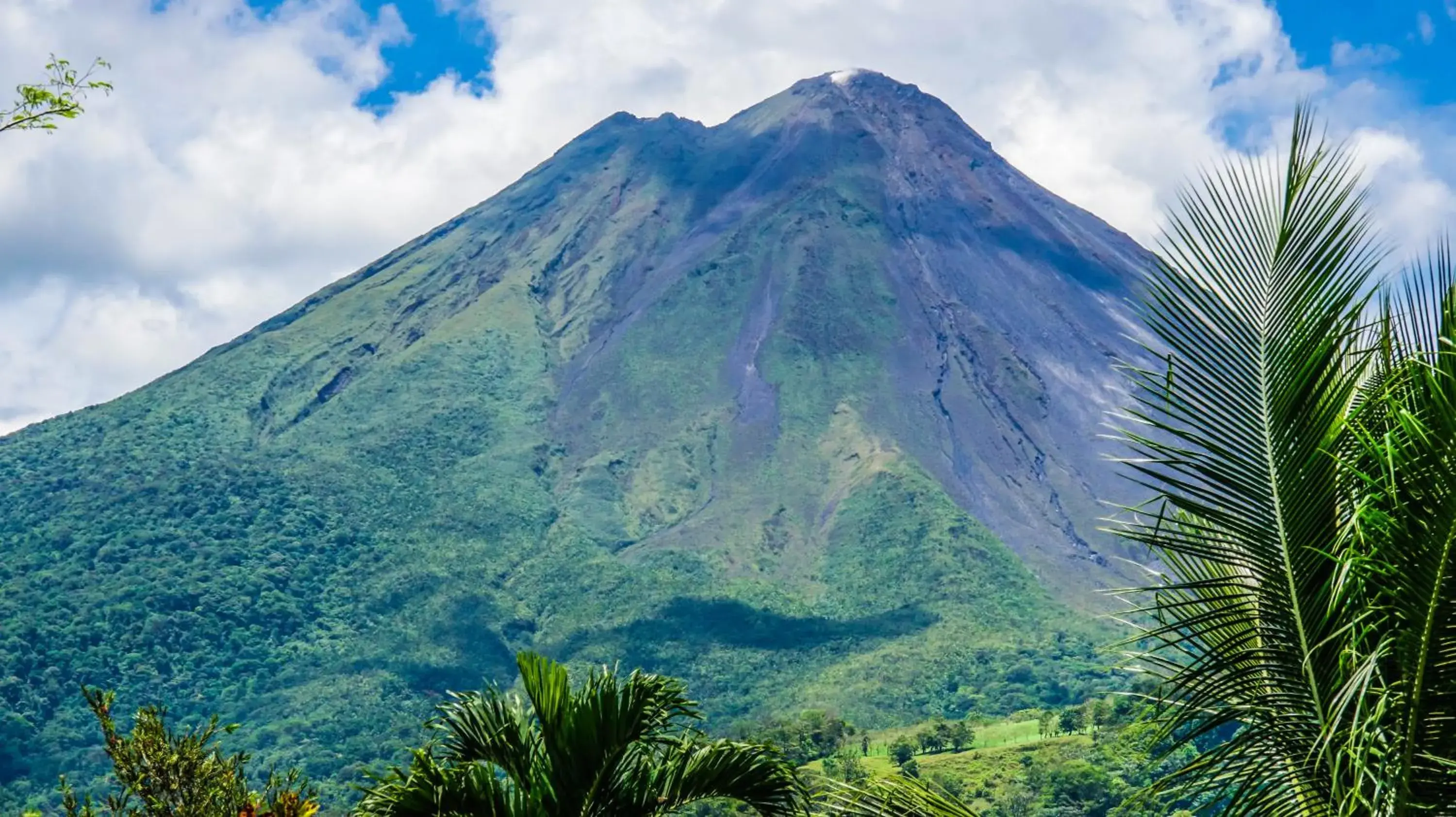 View (from property/room) in Hotel Mountain Paradise View (from property/room) in Hotel Mountain Paradise