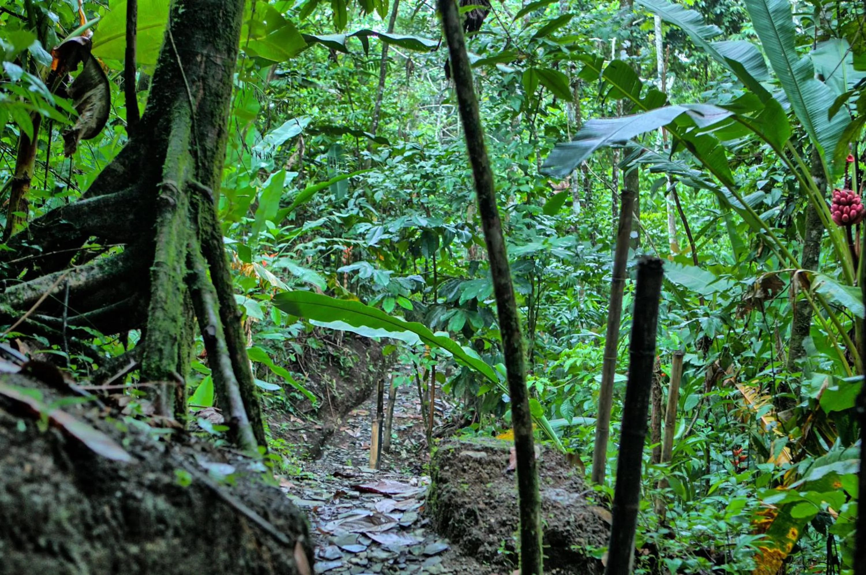 Activities in Hotel Mountain Paradise