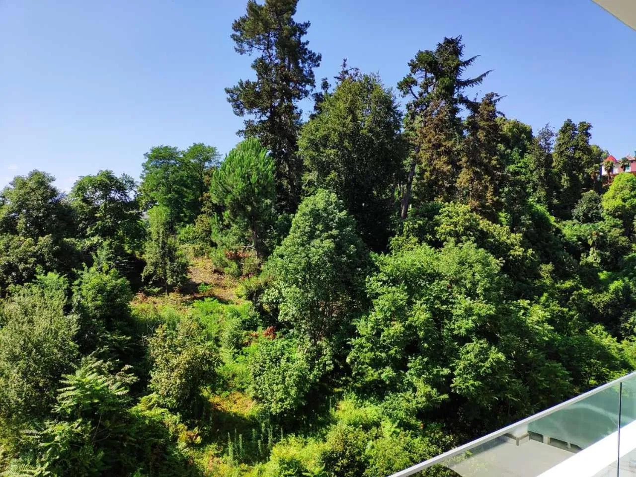 Natural landscape in Green Line