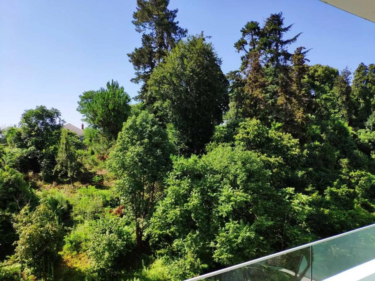 Natural landscape in Green Line