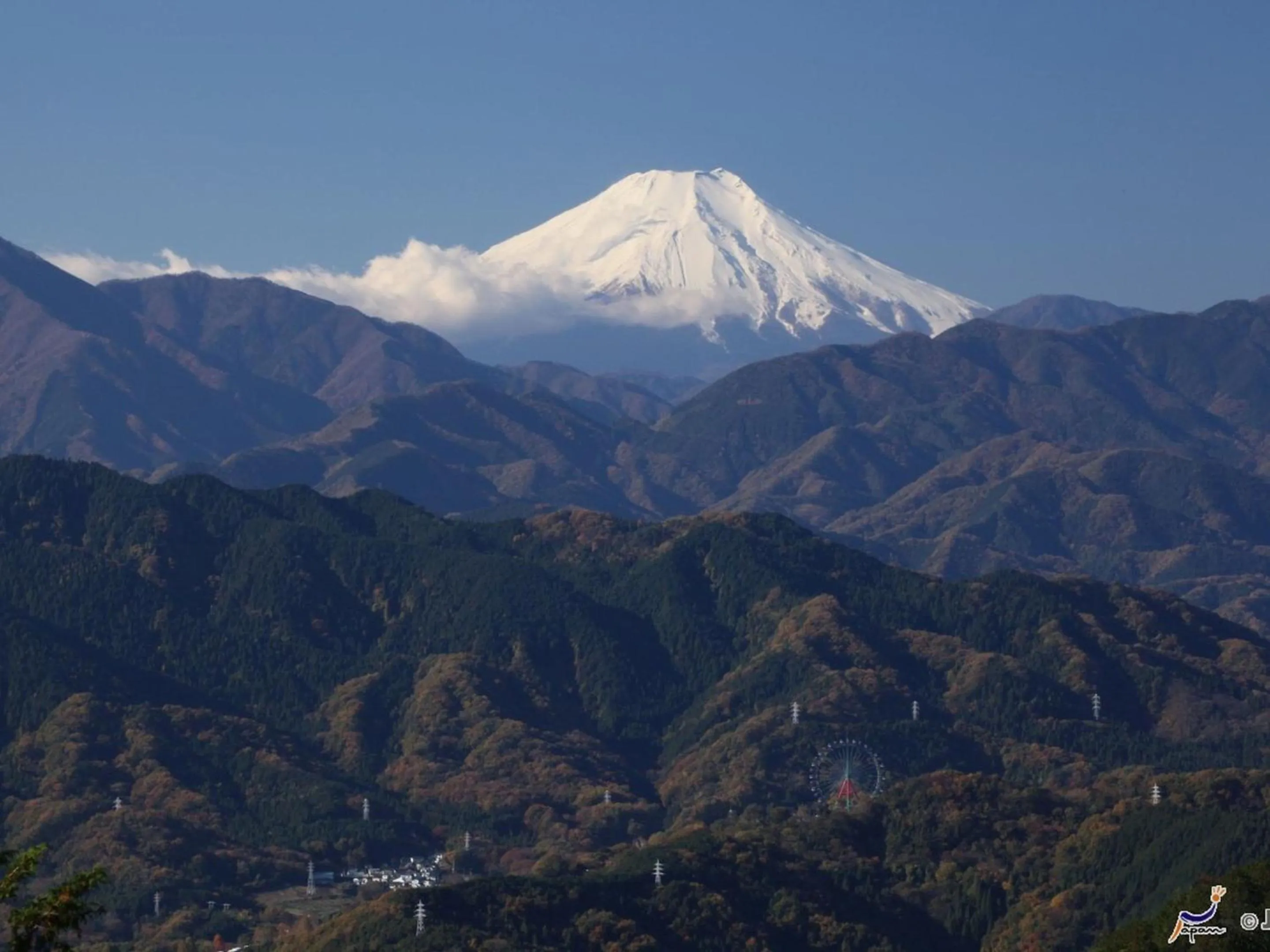 Activities in Hotel Wing International Sagamihara