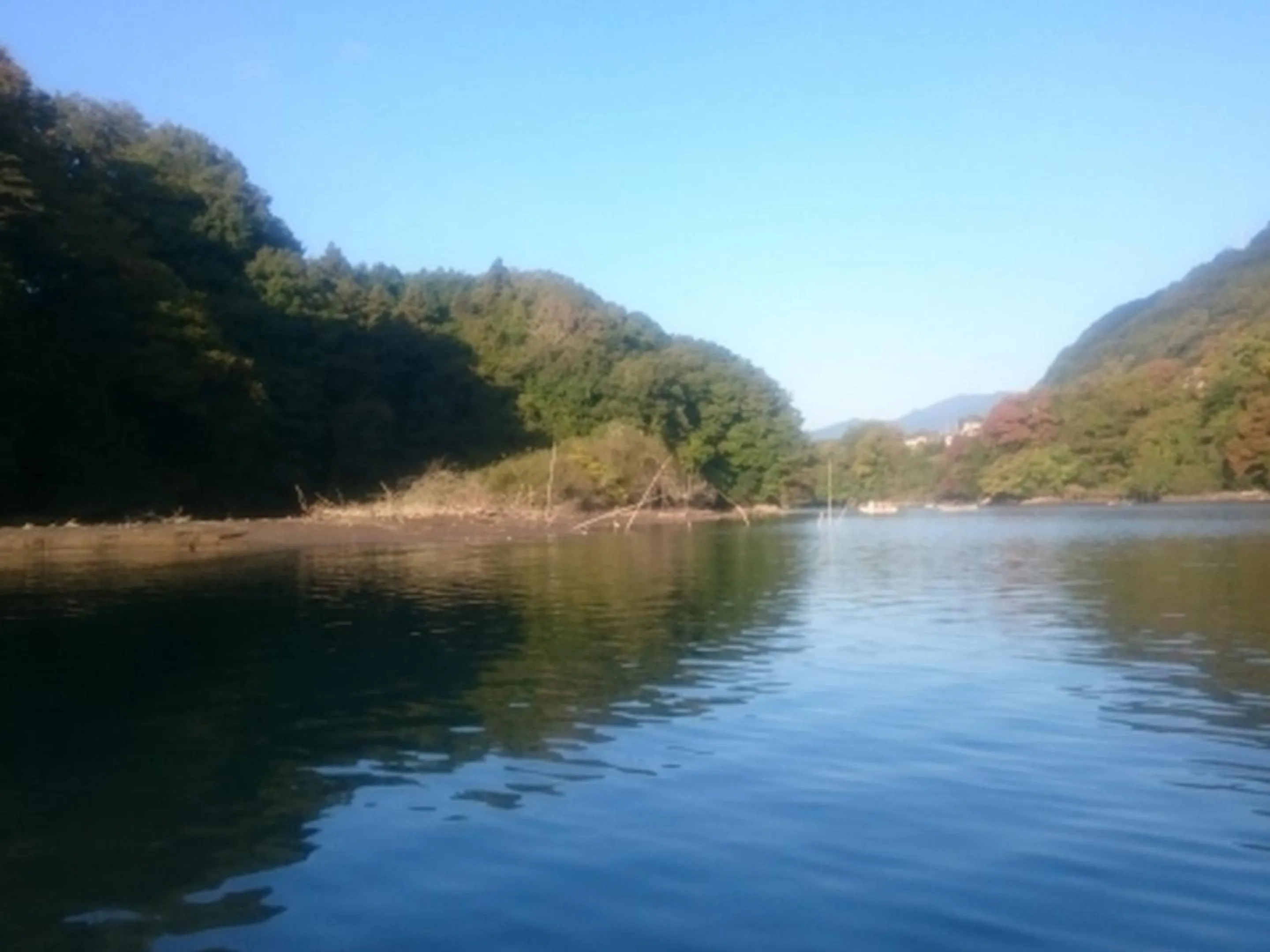 Activities in Hotel Wing International Sagamihara