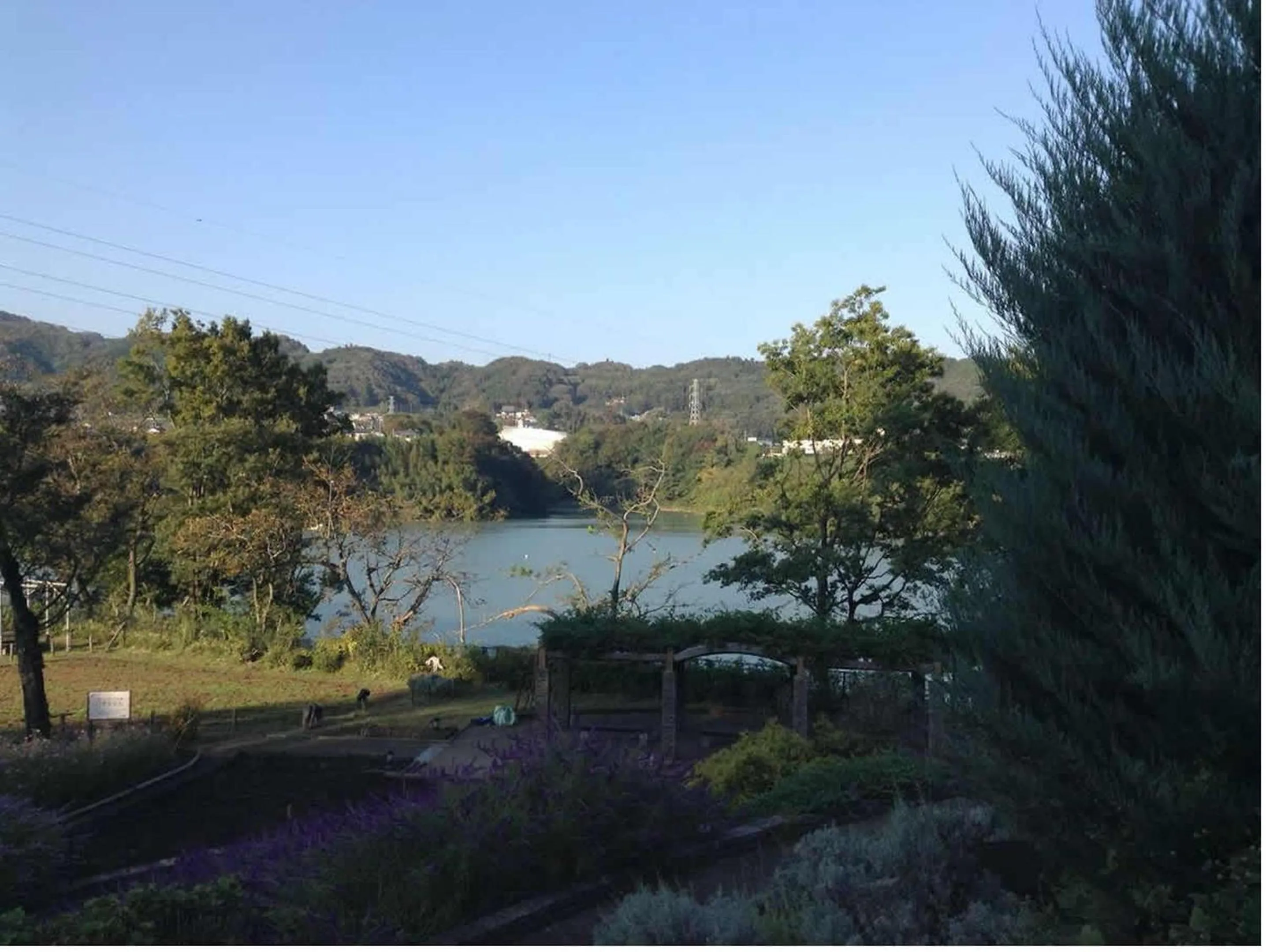 Activities in Hotel Wing International Sagamihara