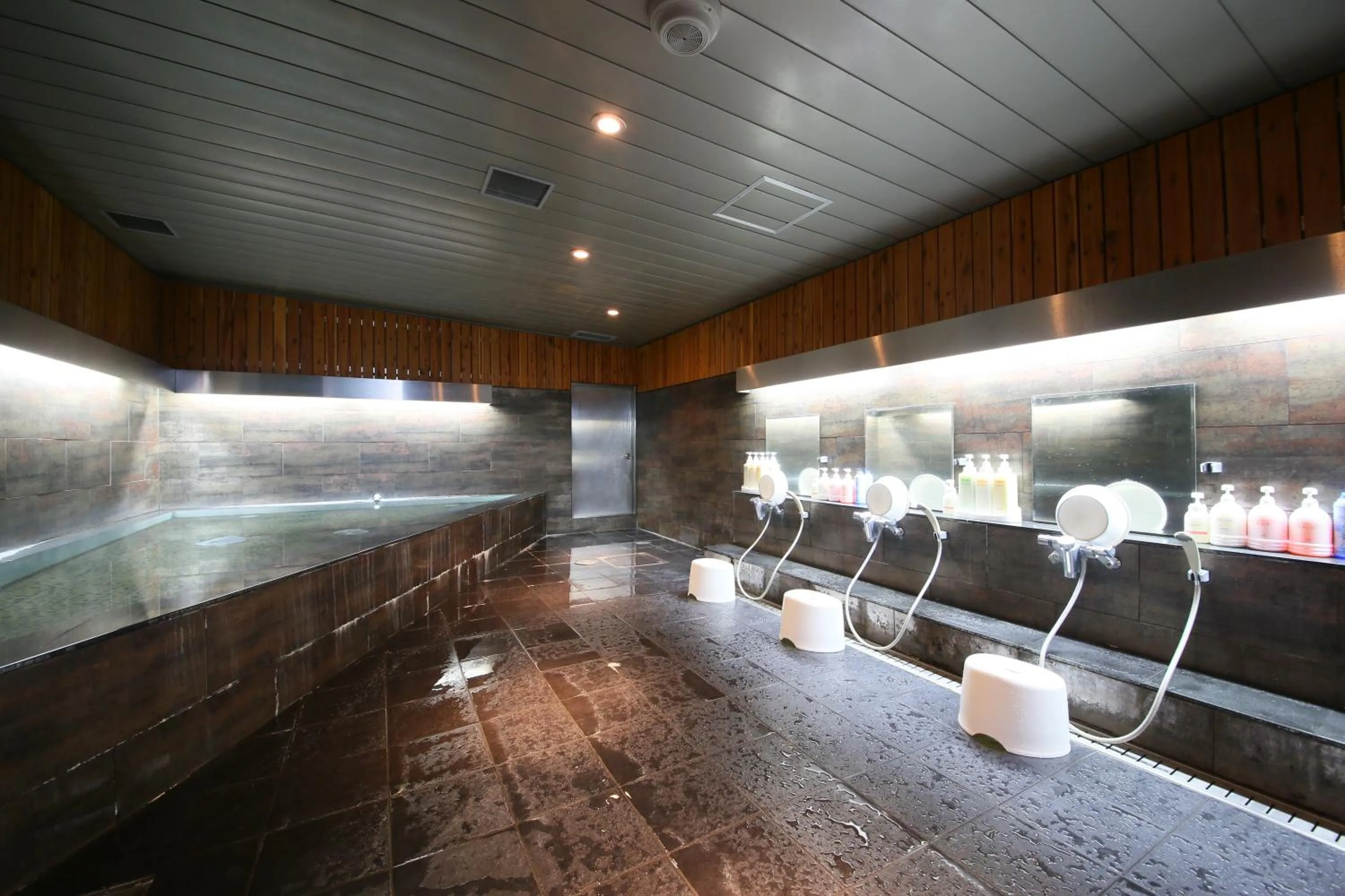 Public Bath in Hotel Wing International Sagamihara