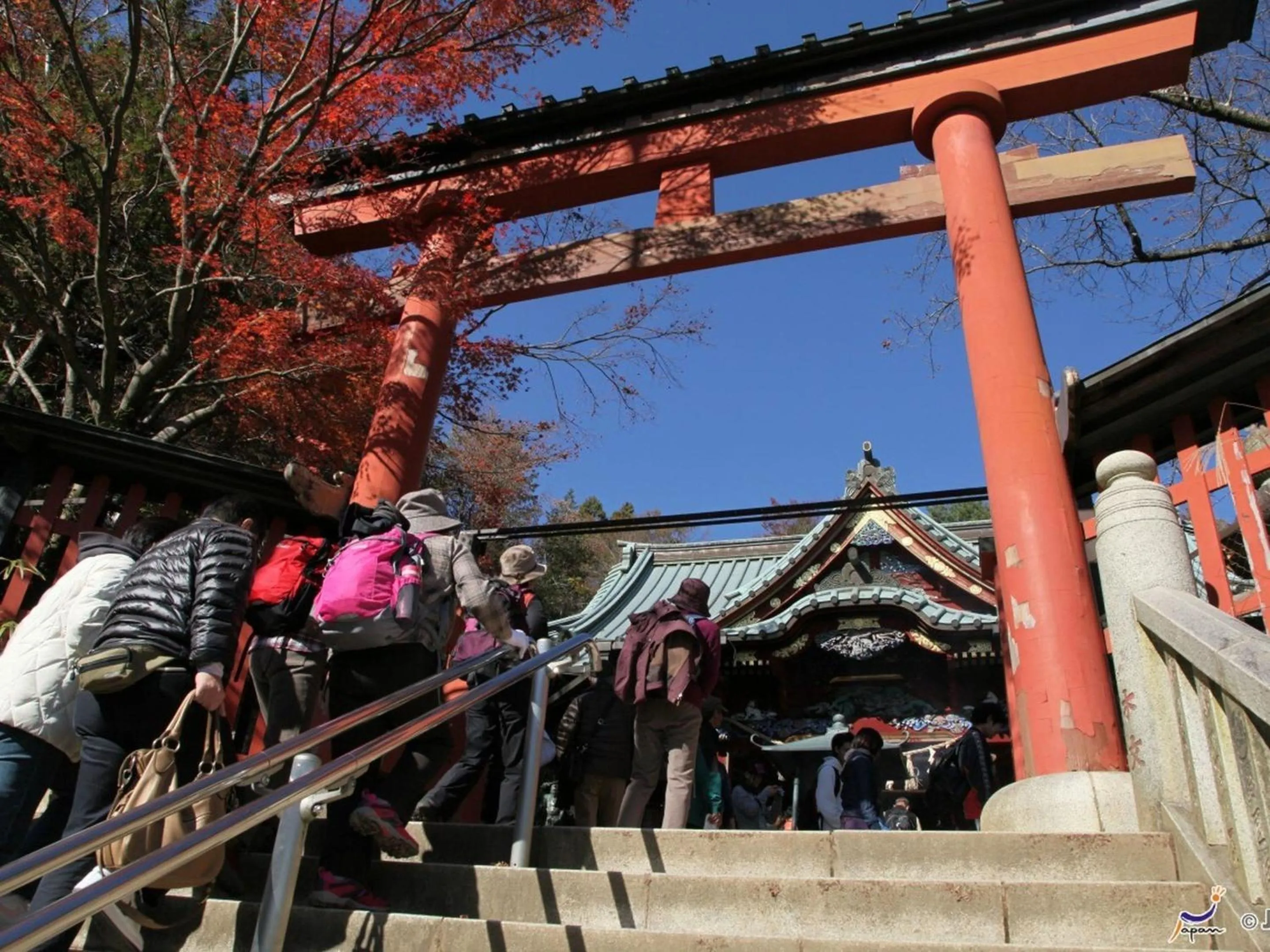 Activities in Hotel Wing International Sagamihara