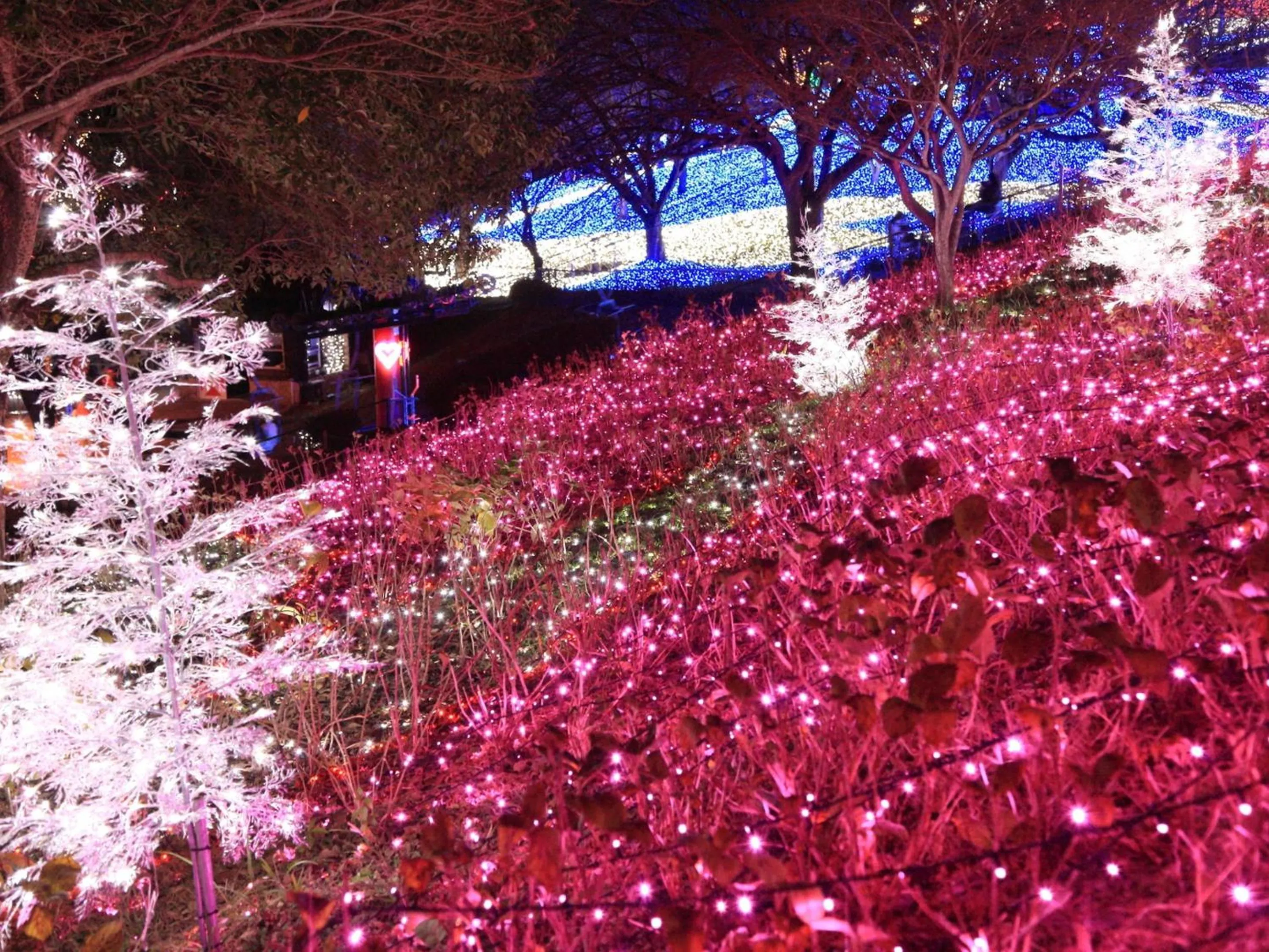 Activities in Hotel Wing International Sagamihara