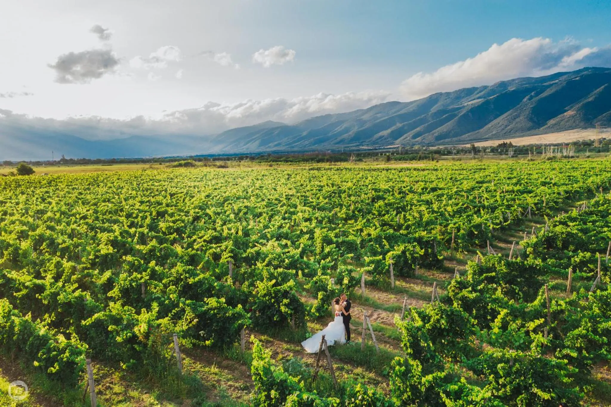 View (from property/room) in Chateau Copsa Complex