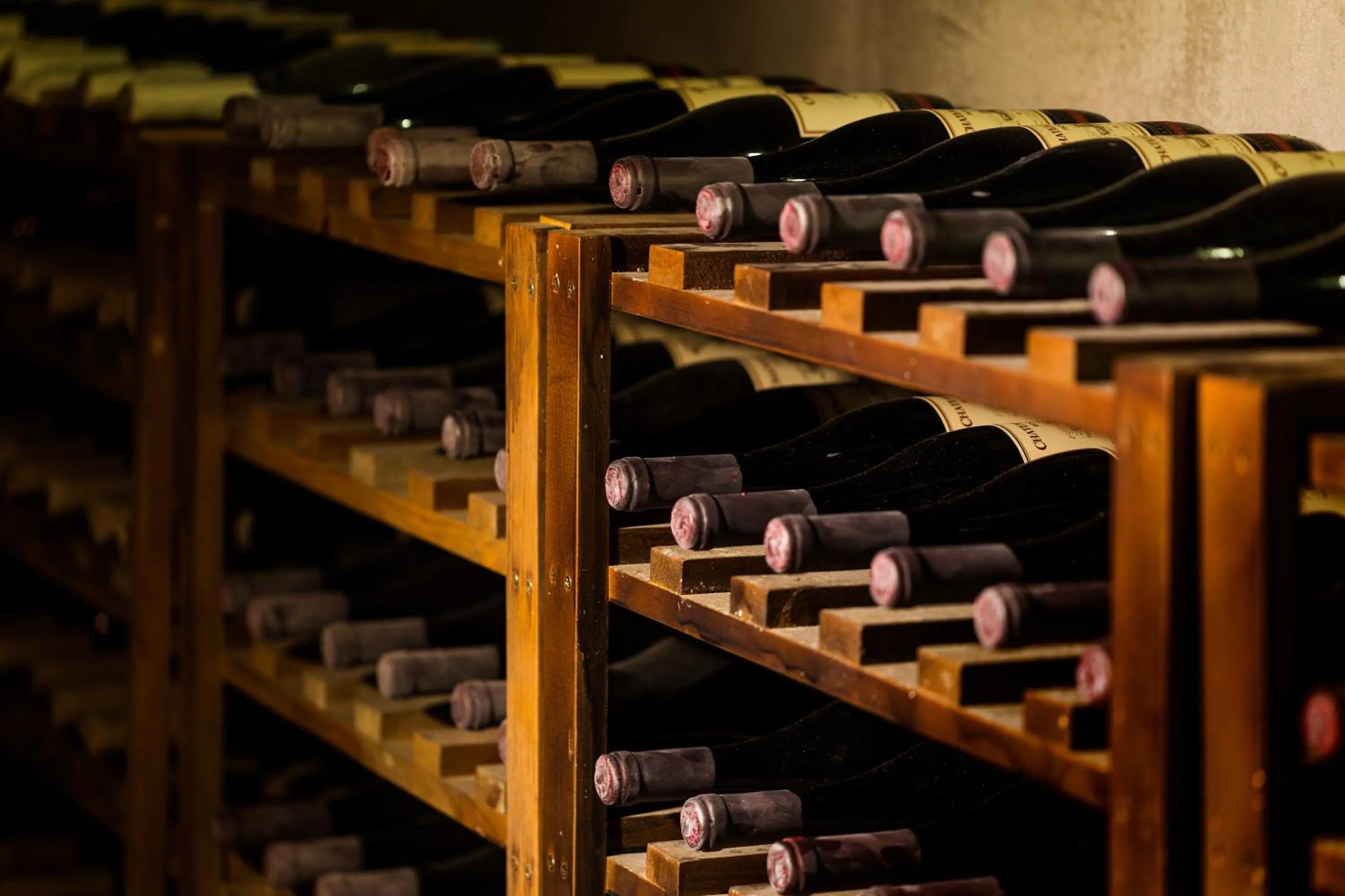 Activities in Chateau Copsa Complex