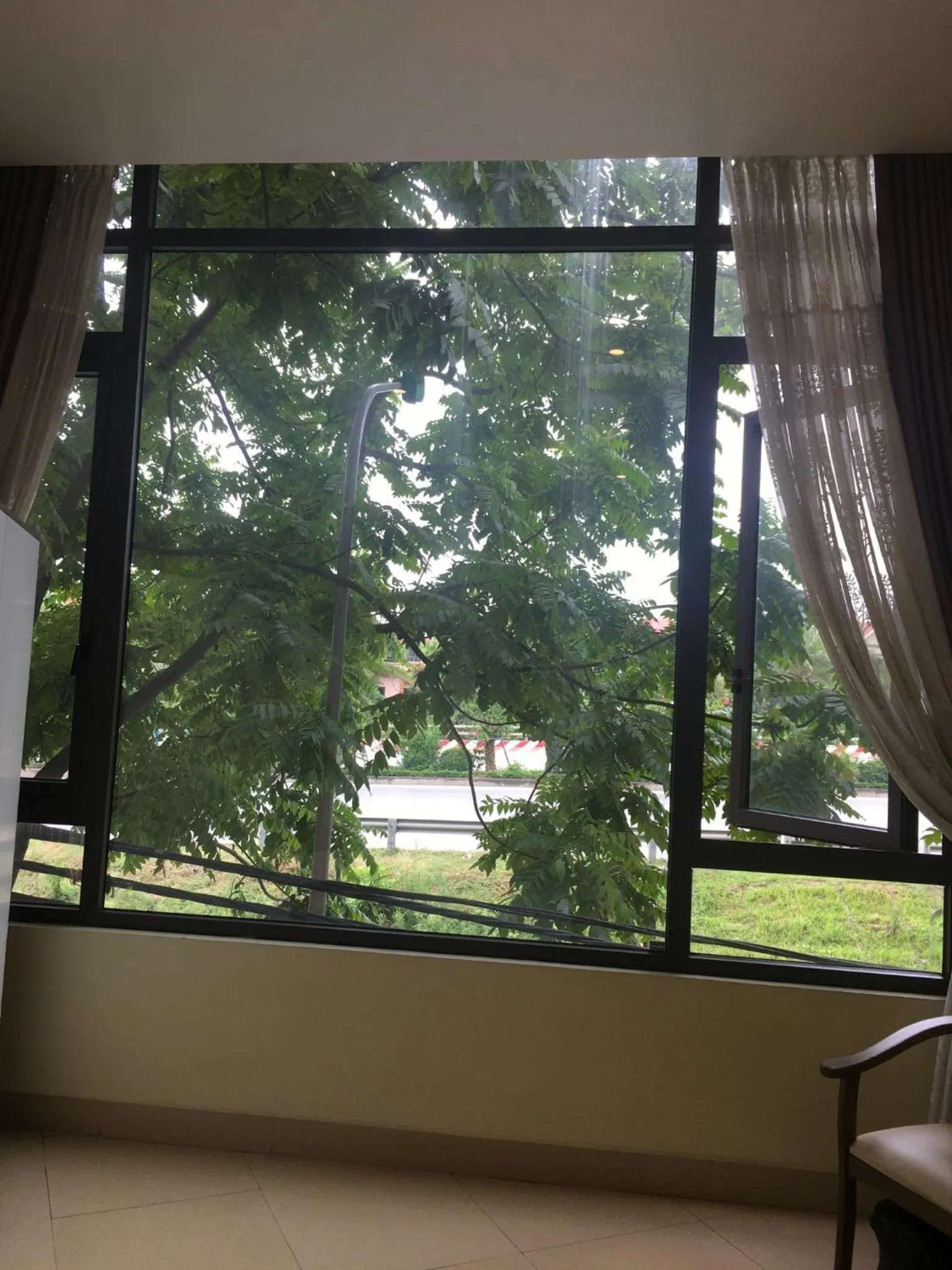 View (from property/room) in Anova 2 Hotel