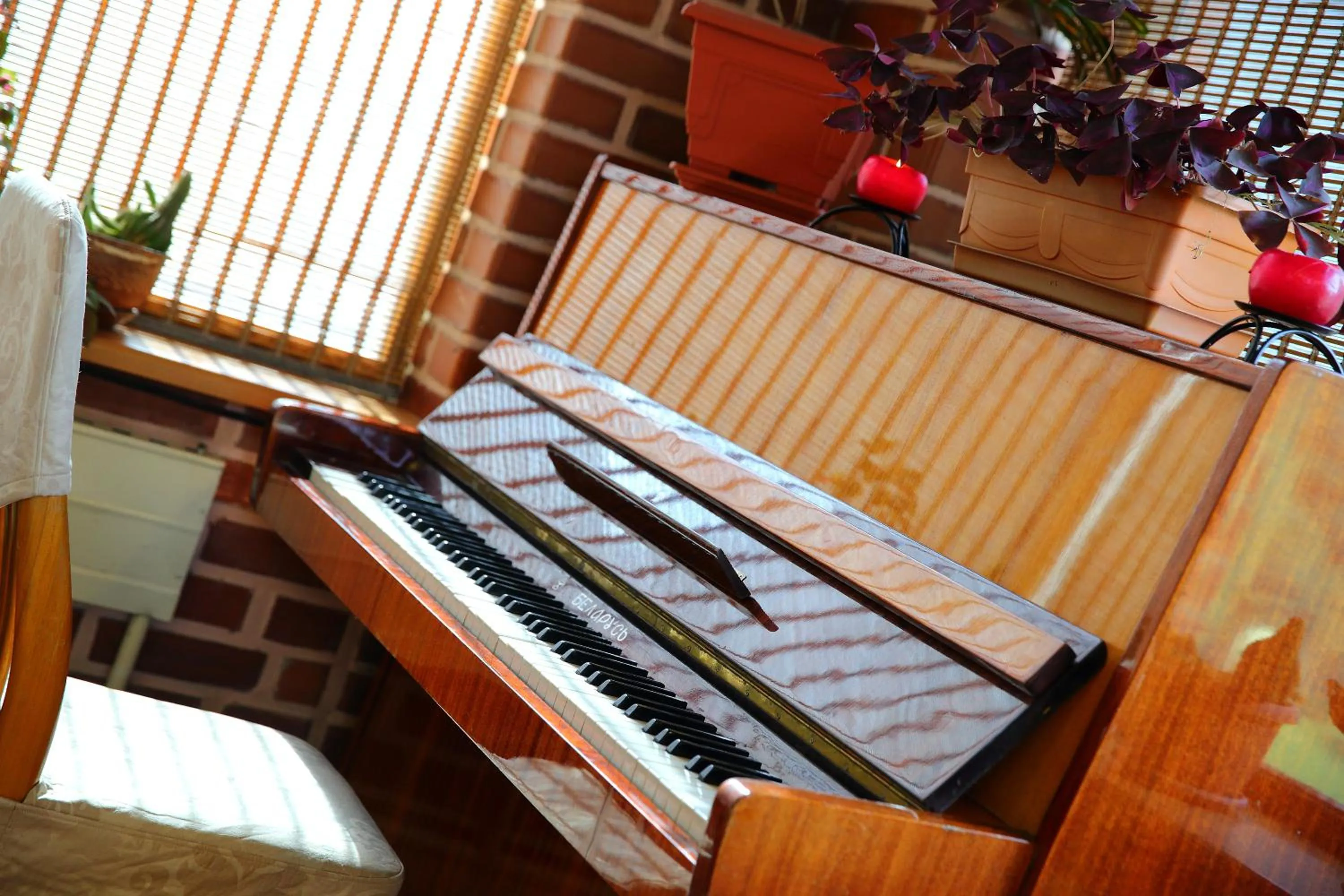 Activities in Alpinist Hotel