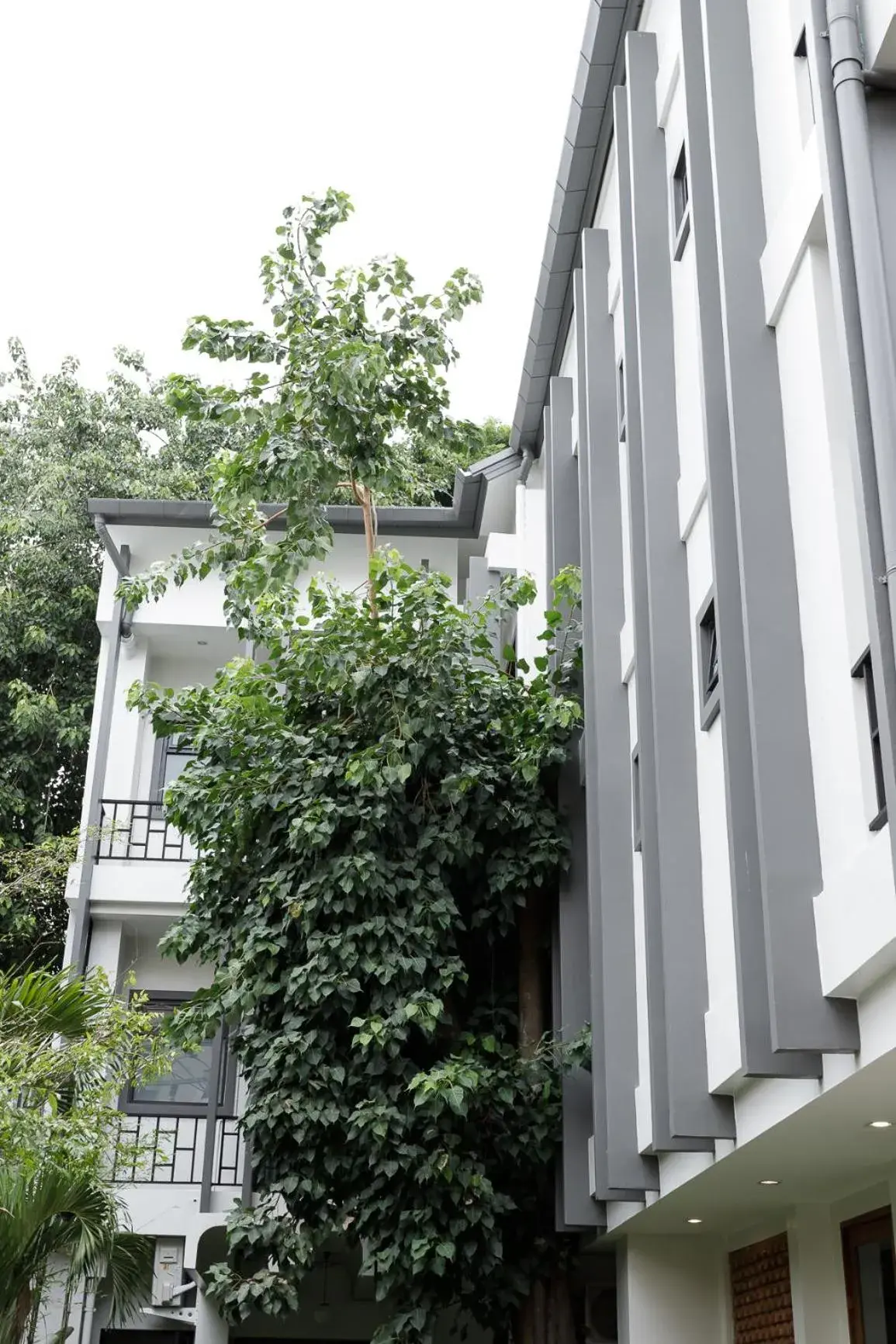 Property building in The Locals Chiang Mai Property building in The Locals Chiang Mai