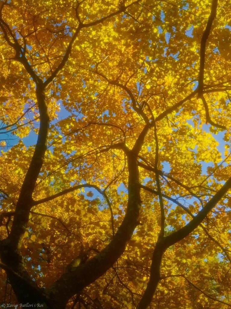 Natural landscape in Fonda Finet