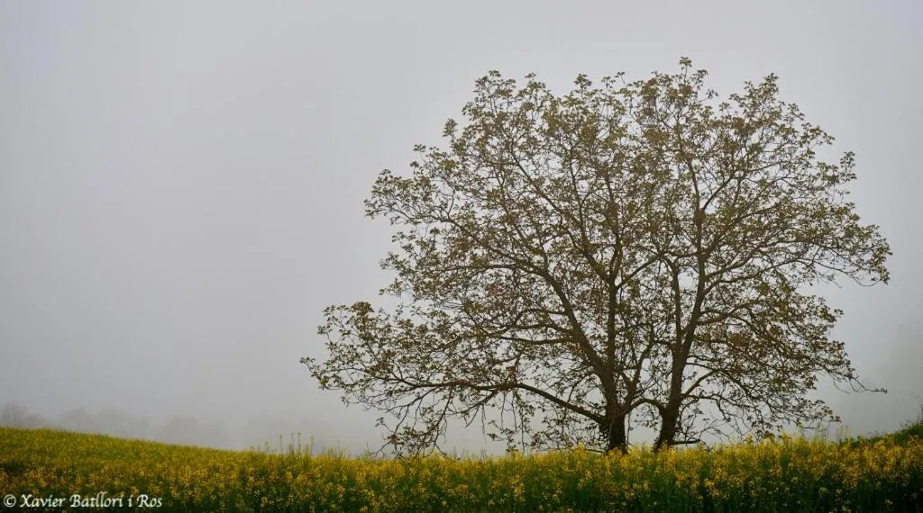 Natural landscape in Fonda Finet