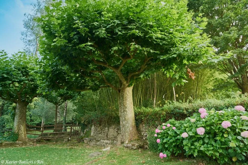 Natural landscape in Fonda Finet