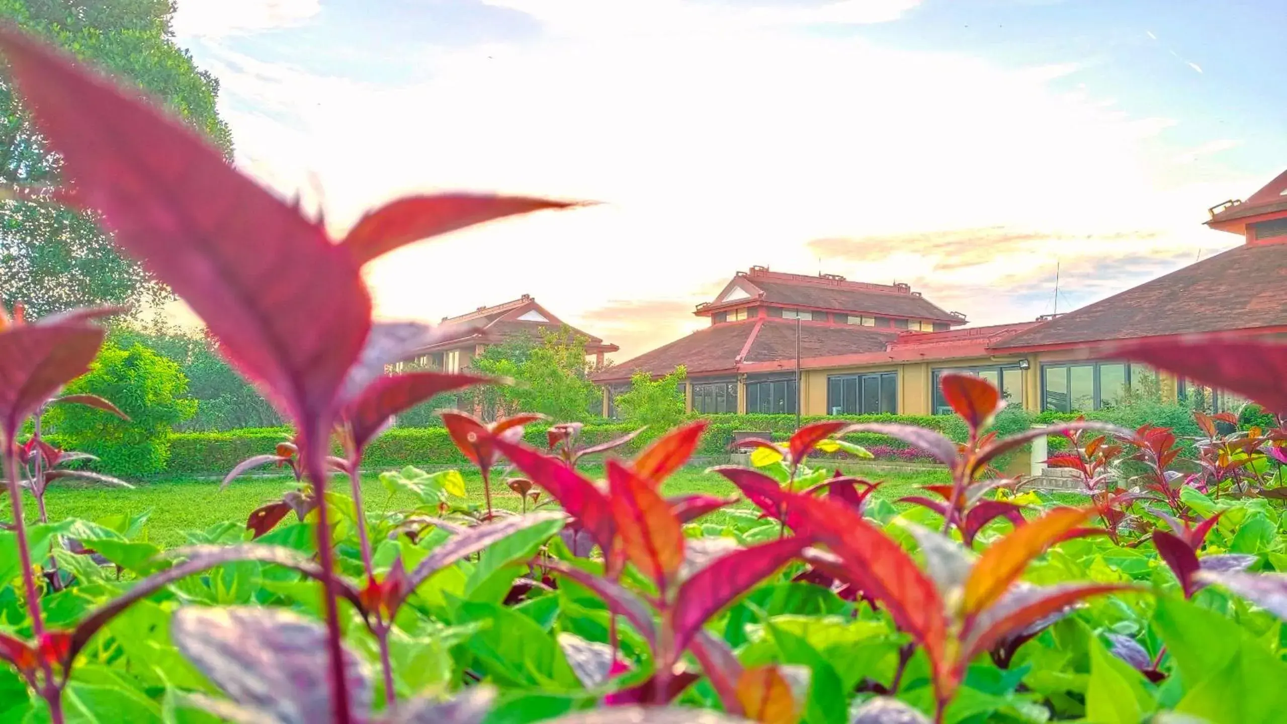 Restaurant/places to eat in Hue Riverside Boutique Resort & Spa Restaurant/places to eat in Hue Riverside Boutique Resort & Spa