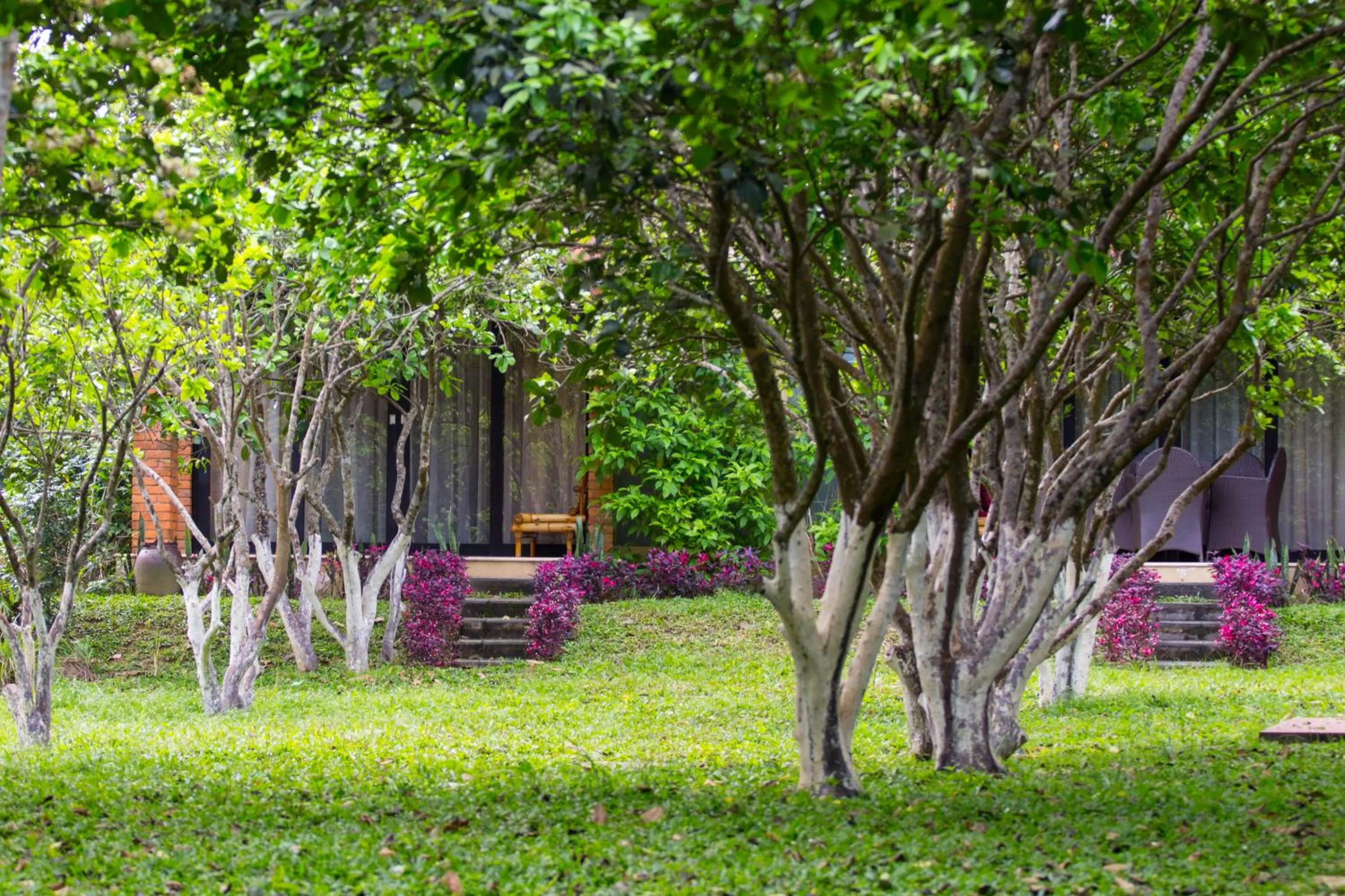 Natural landscape in Hue Riverside Boutique Resort & Spa