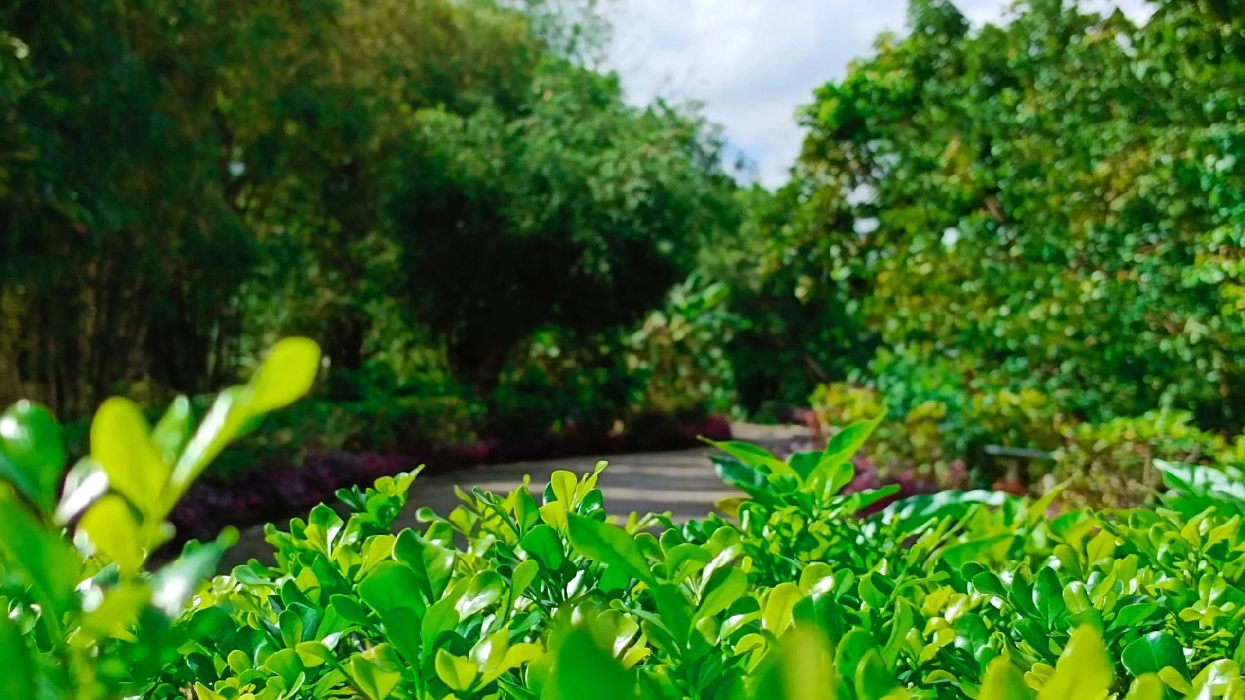 Swimming pool in Hue Riverside Boutique Resort & Spa