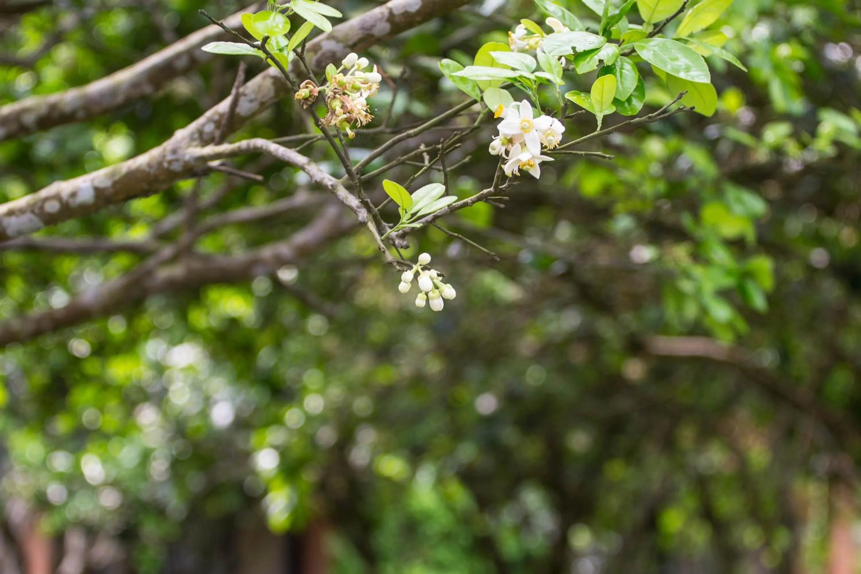 Natural landscape in Hue Riverside Boutique Resort & Spa