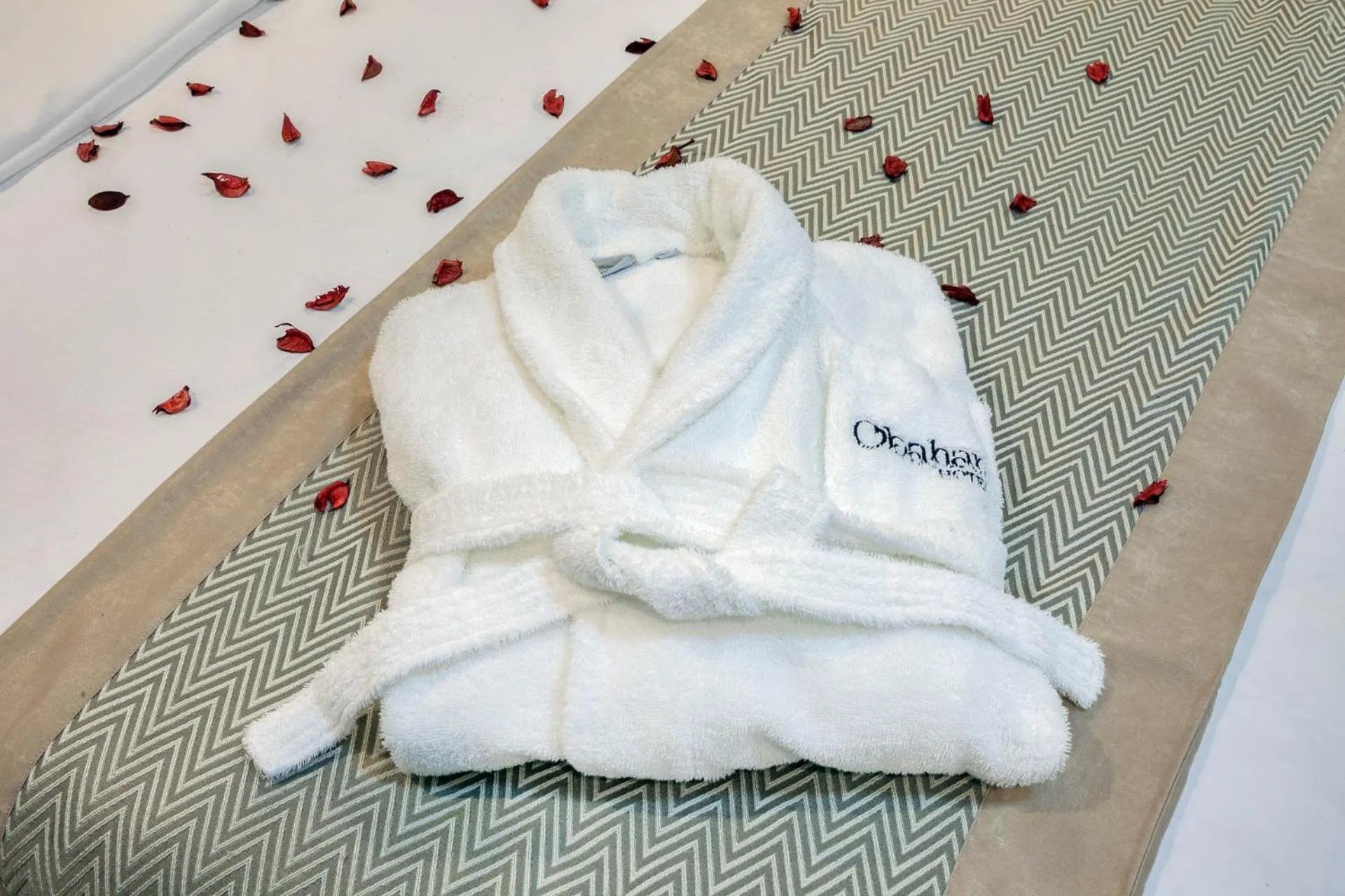 Other in OBAHAN HOTEL-Special Class