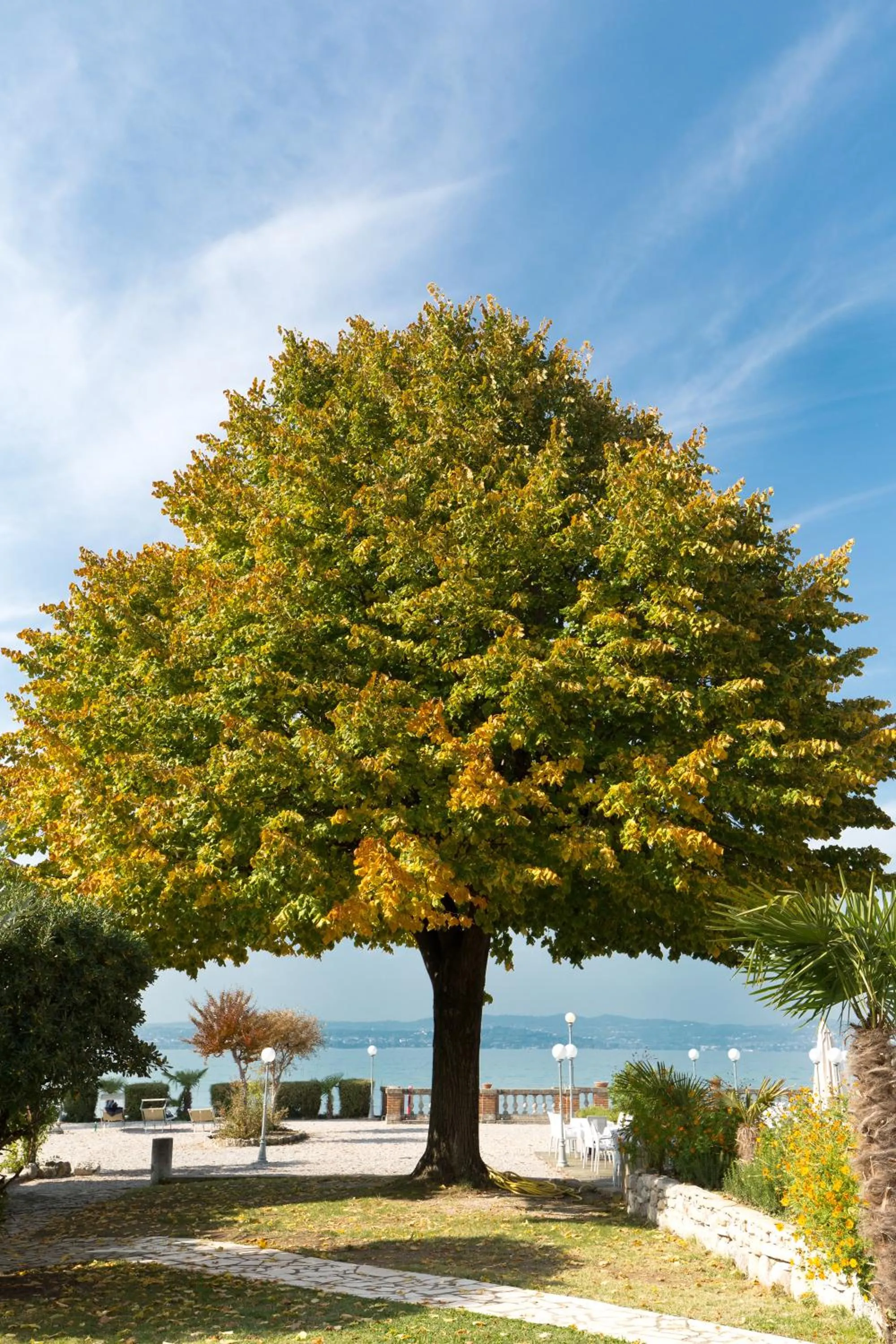 Garden in Villa Pioppi Hotel
