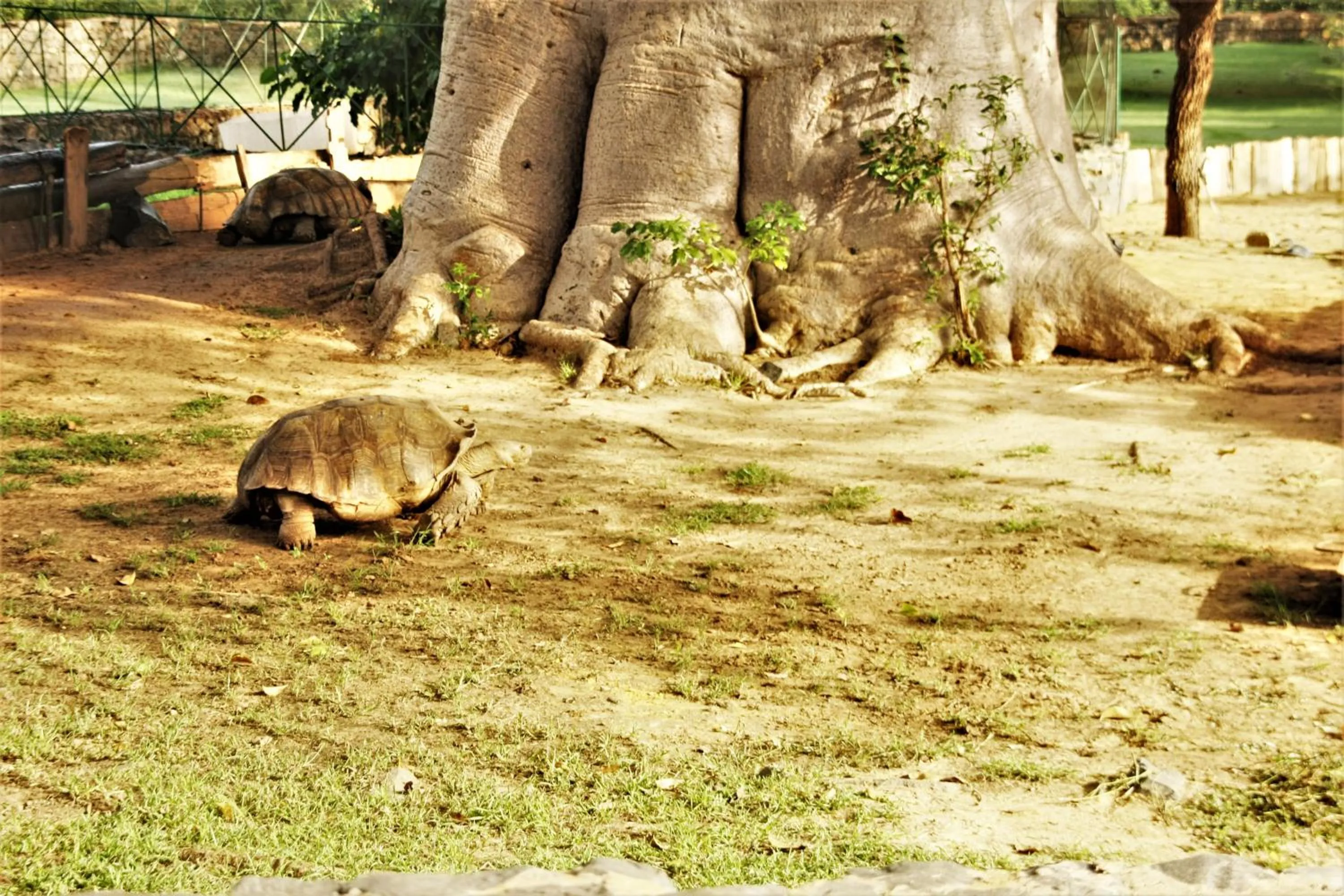 Area and facilities in Africa 6 Plage
