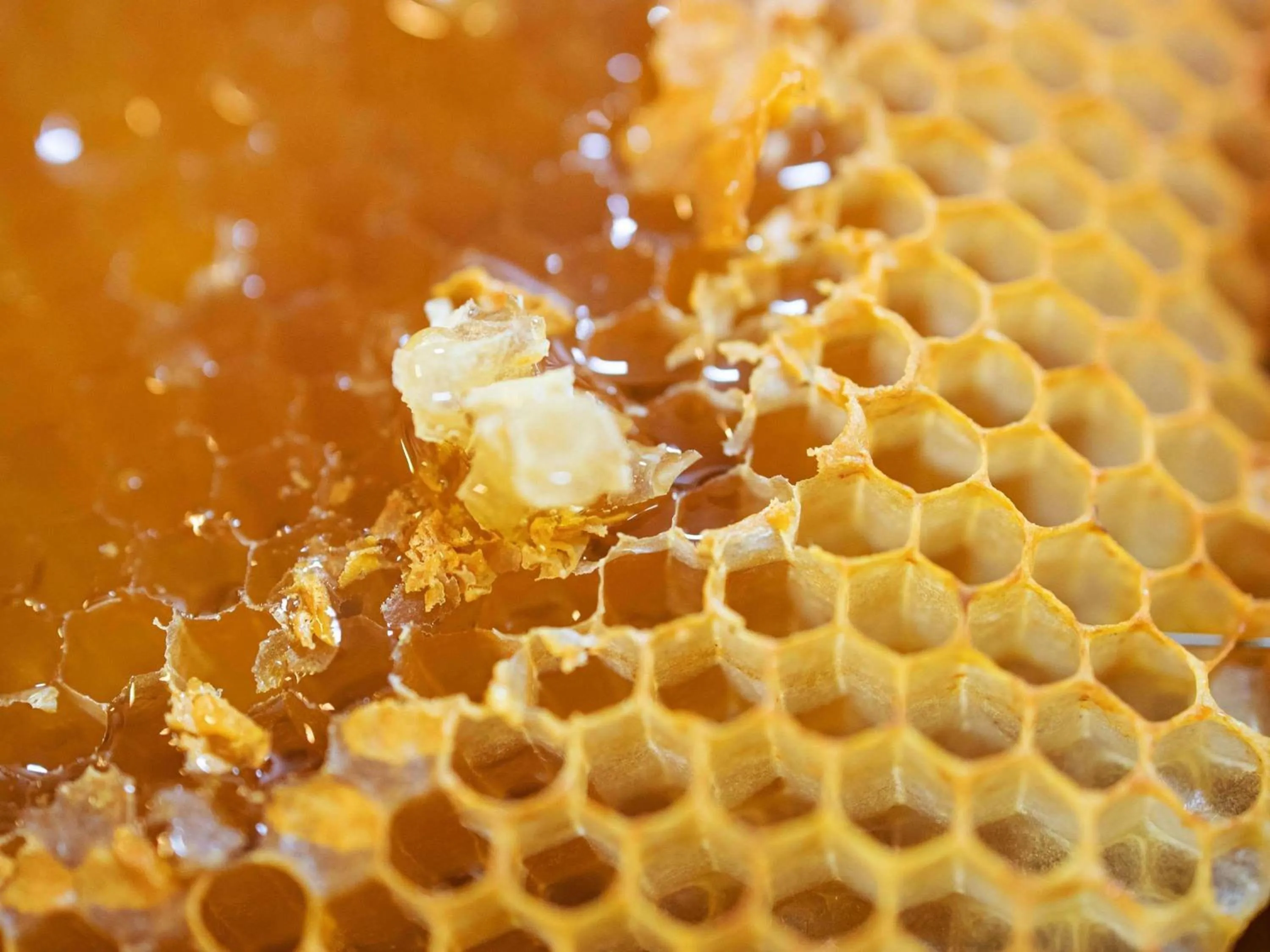 Breakfast in greet hotel Grenoble Centre Gare