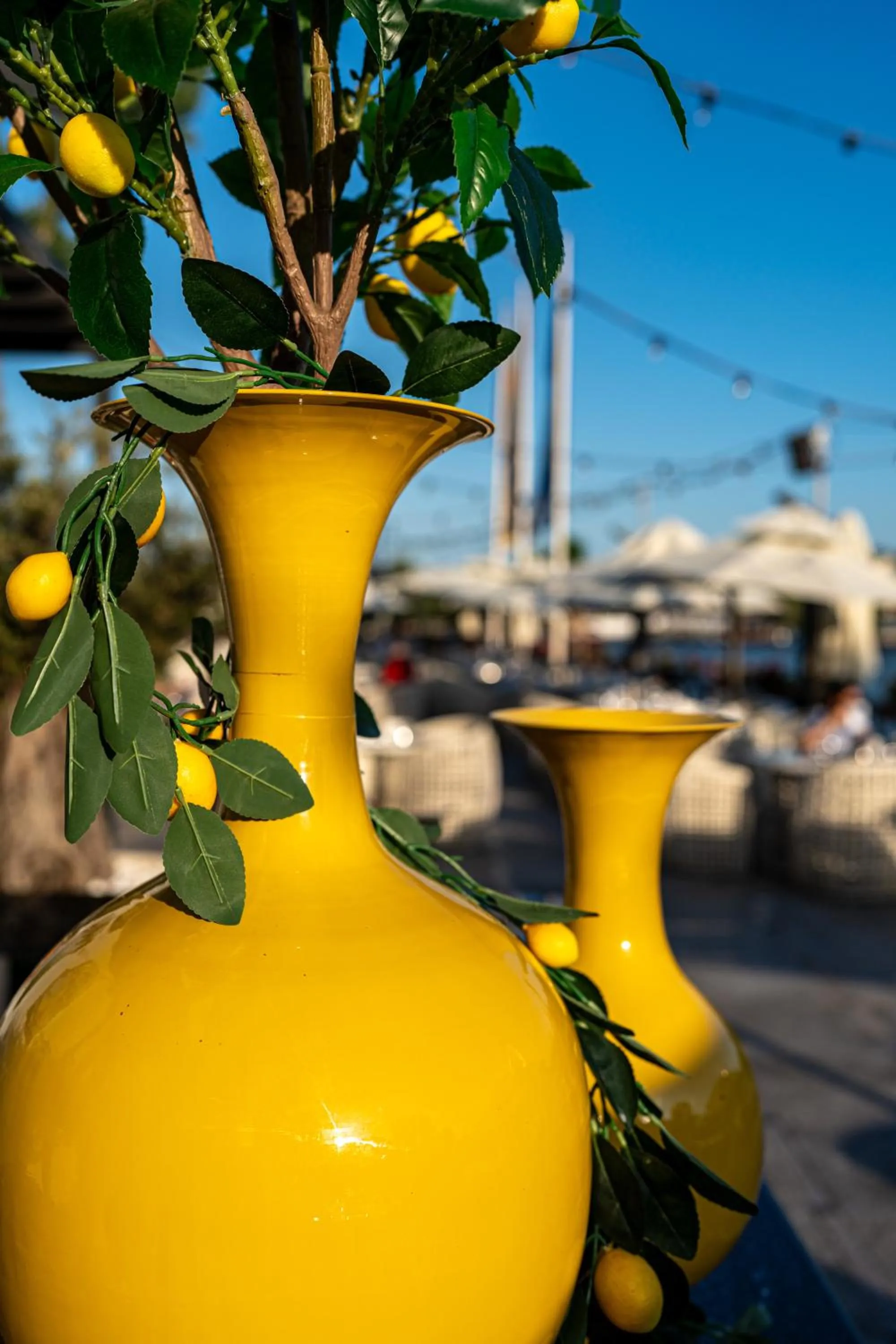 Restaurant/places to eat in Lebada Luxury Resort & Spa