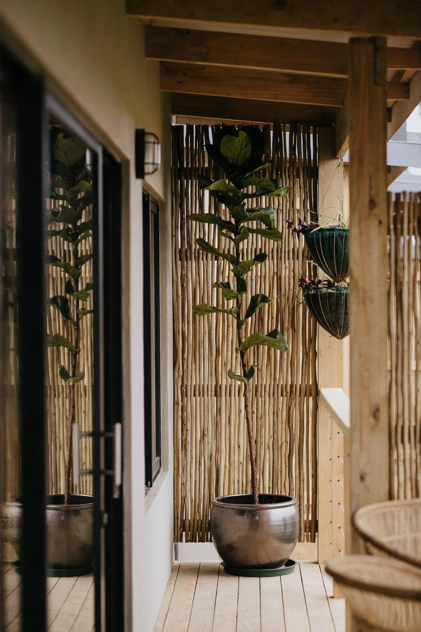 Emily Moon River Lodge