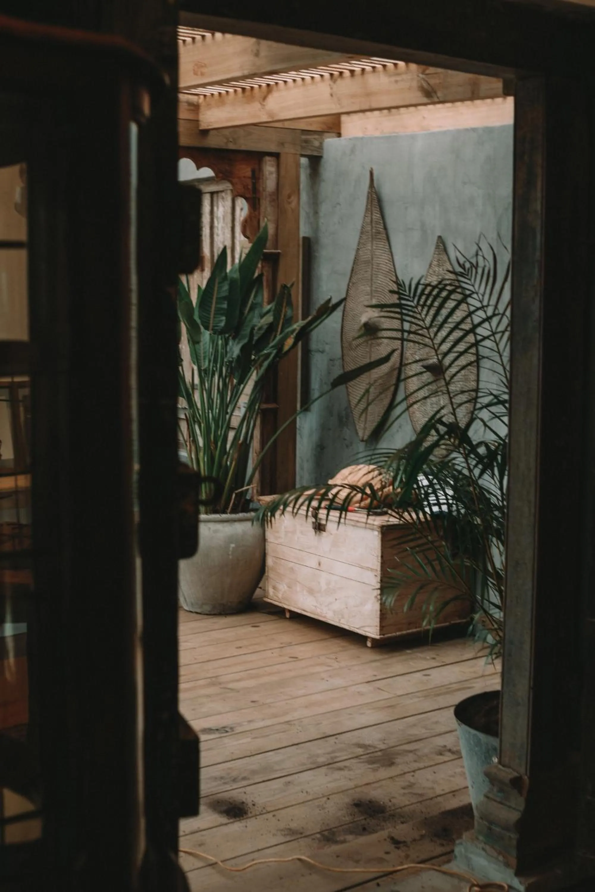 Emily Moon River Lodge