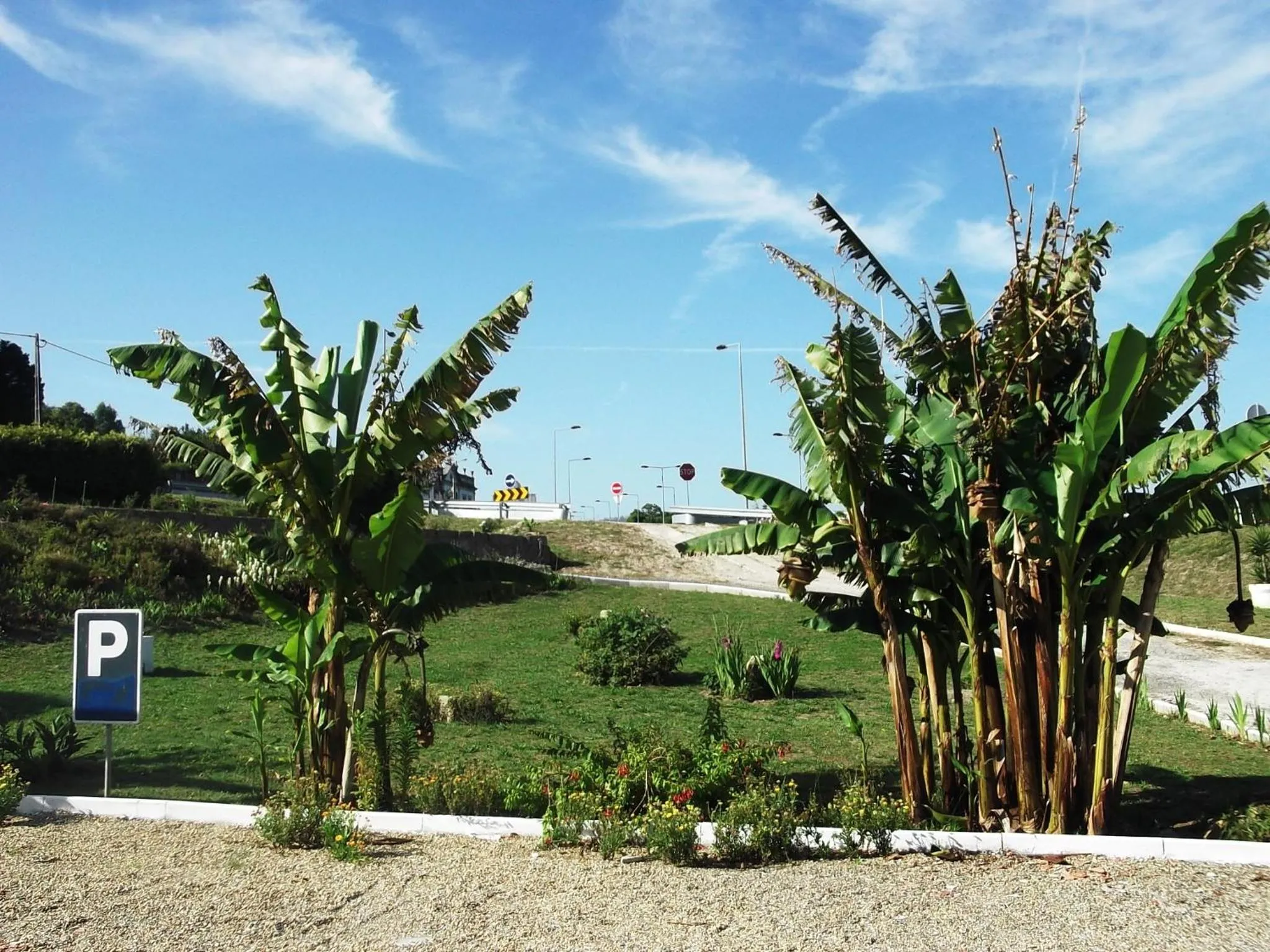 Area and facilities in Hotel Minho Belo