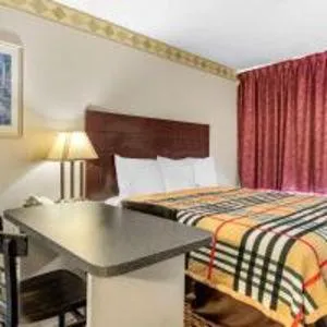 Bed in Rodeway Inn New Port Richey