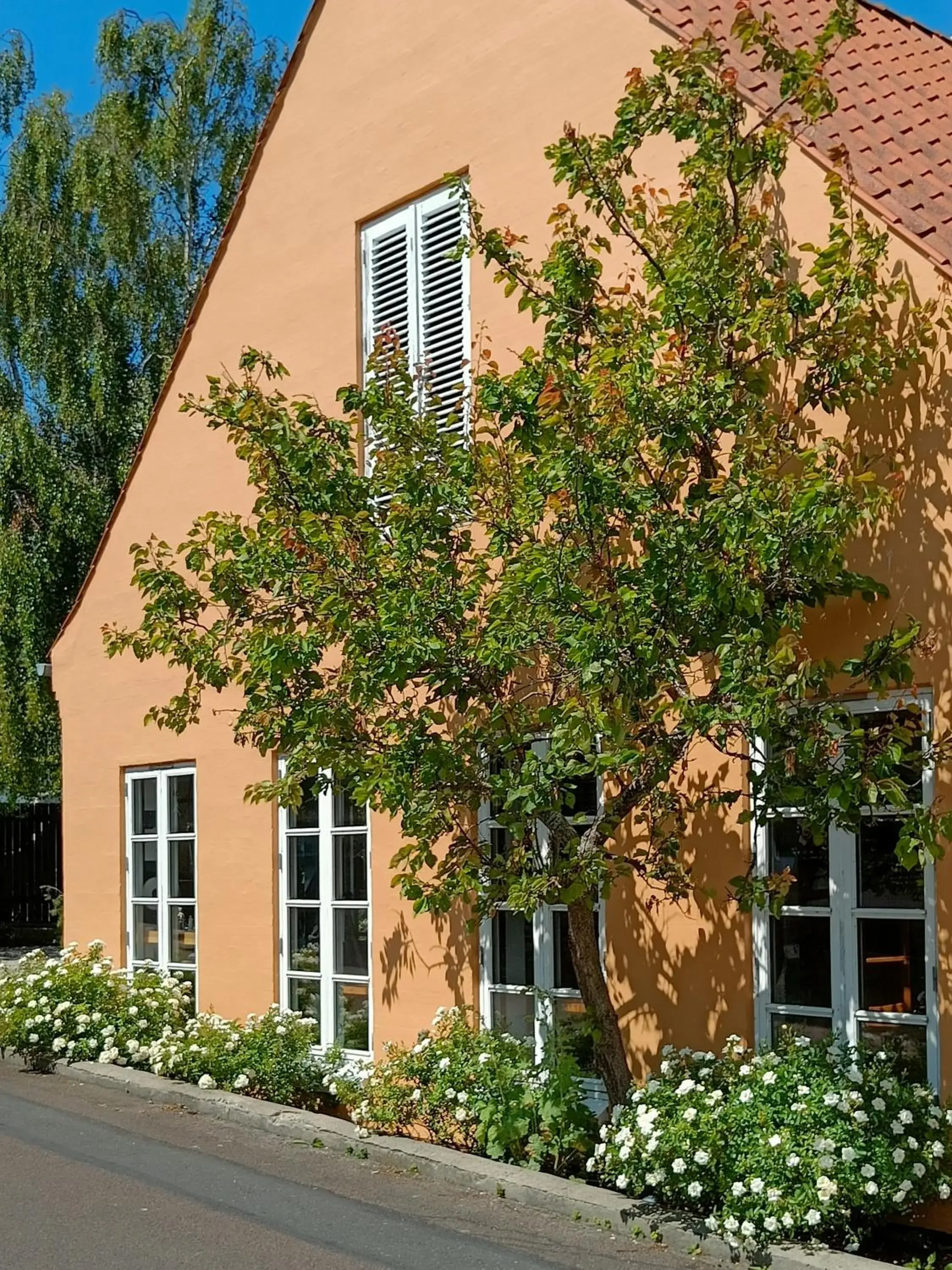 Aroma Guesthouse Aroma Guesthouse
