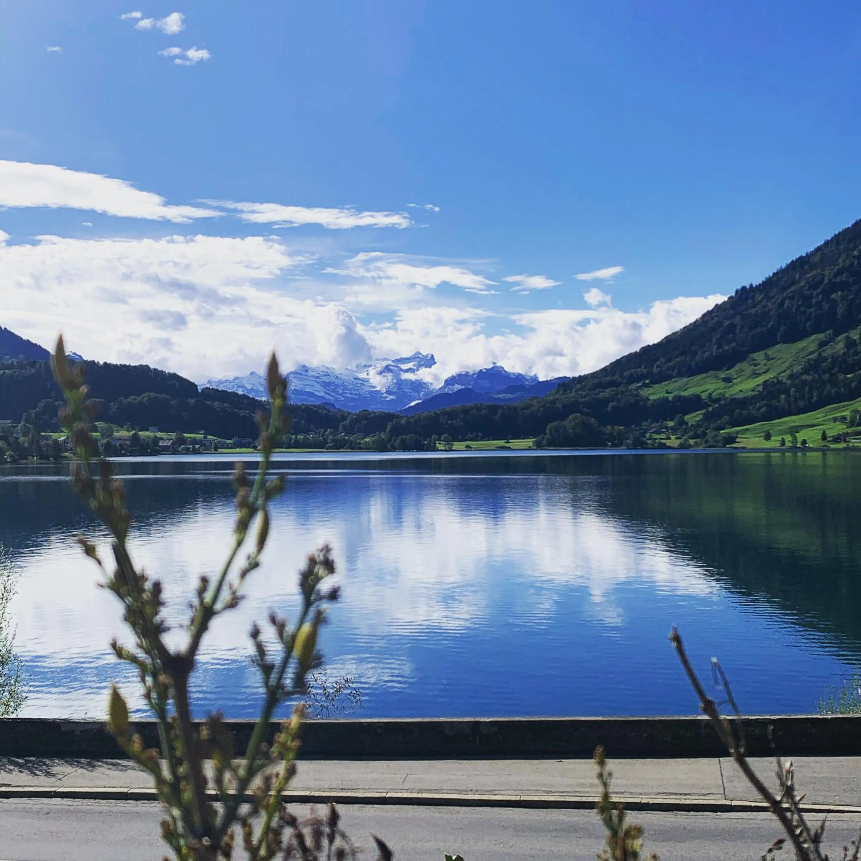 Summer in Hotel - Restaurant Eierhals am Ägerisee