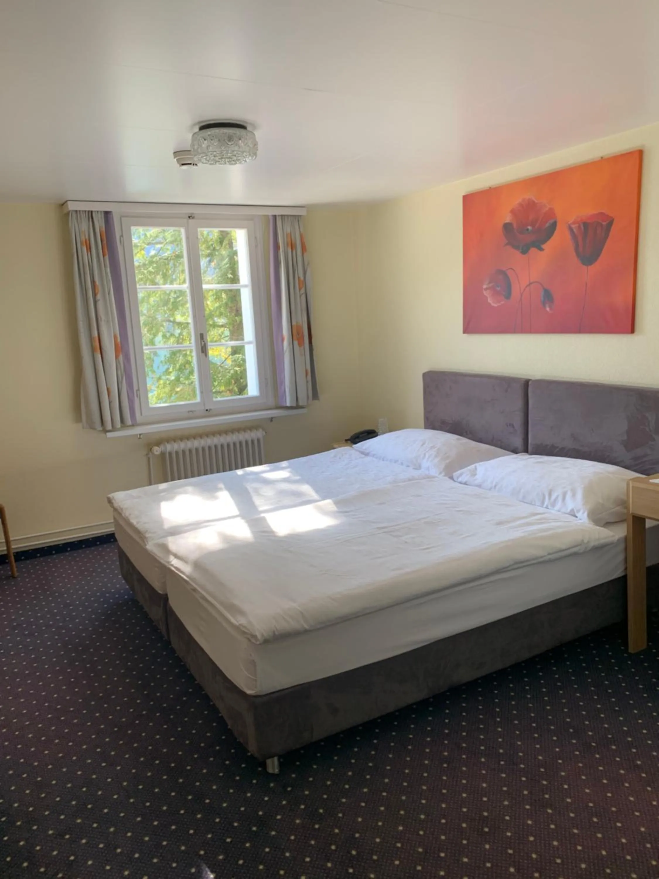 Photo of the whole room, Bed in Hotel - Restaurant Eierhals am Ägerisee