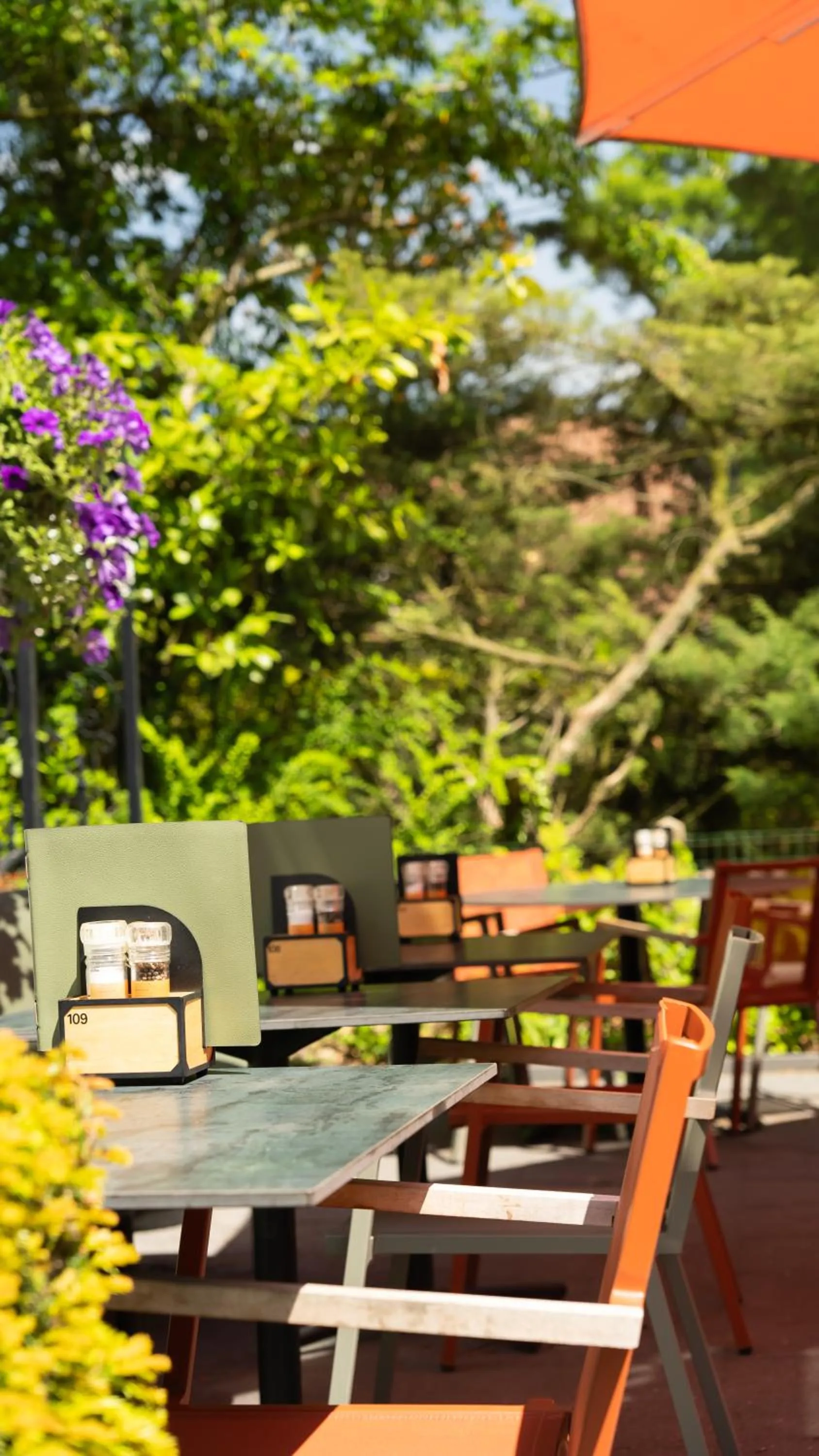 Garden in Hotel Trix