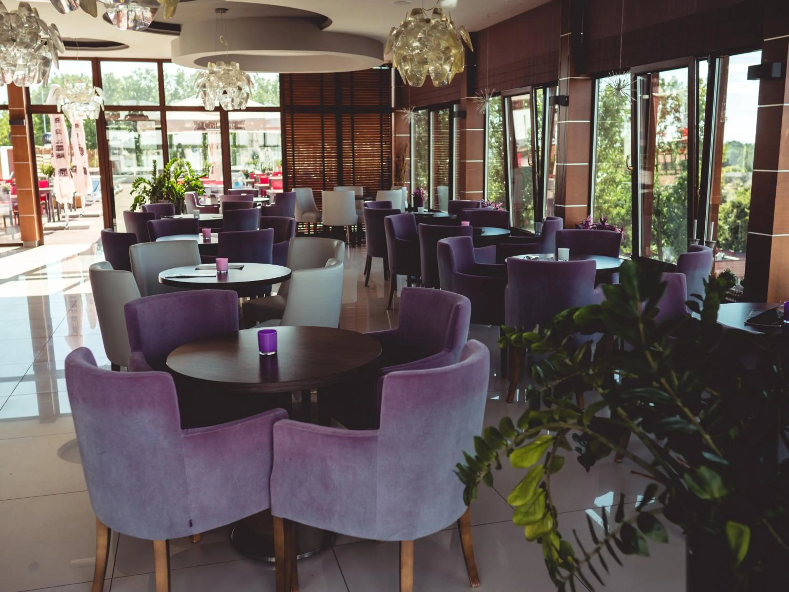 Restaurant/places to eat in Olymp 3