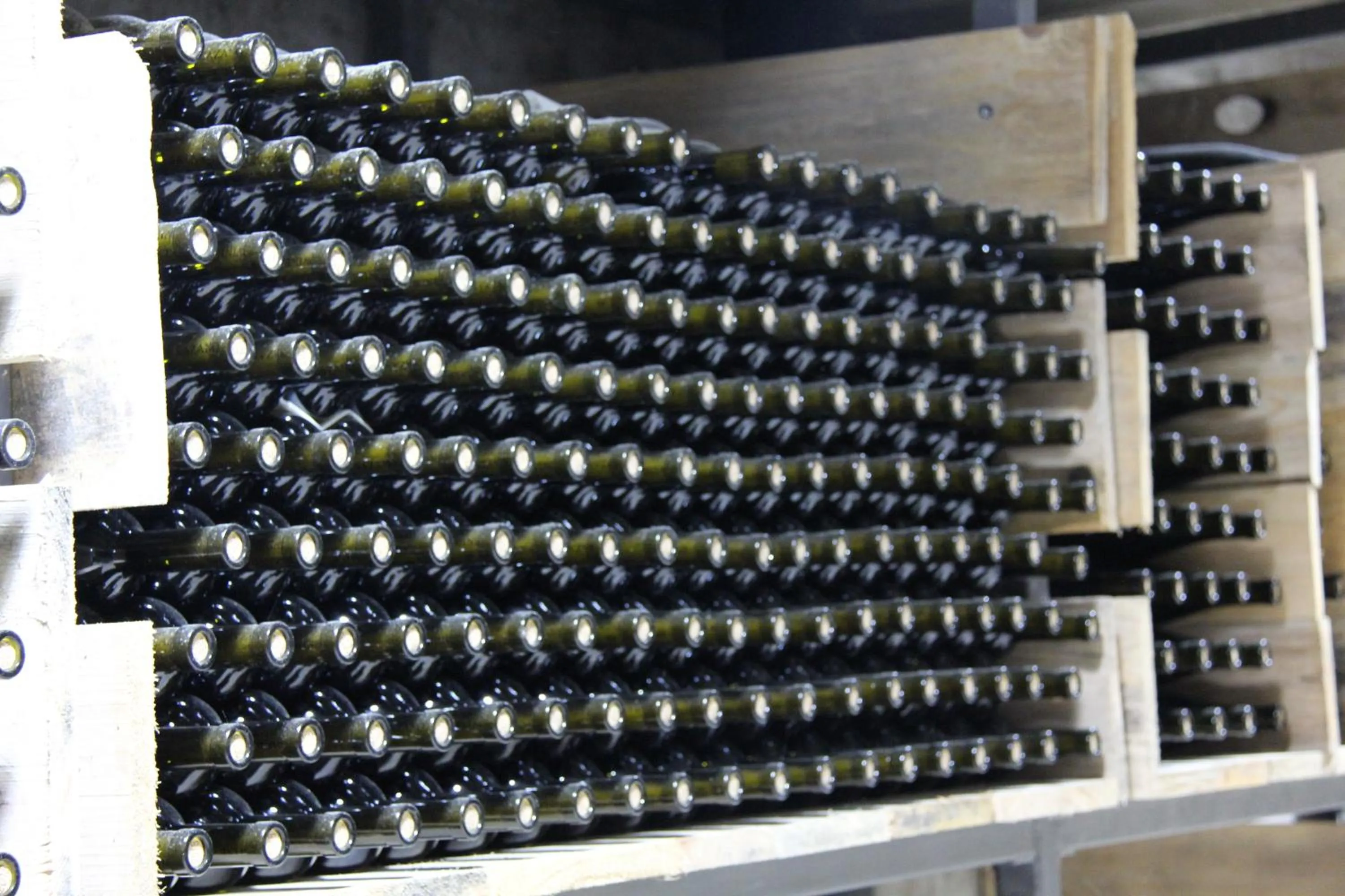 Alcoholic drinks in Ethno Sazano Hotel