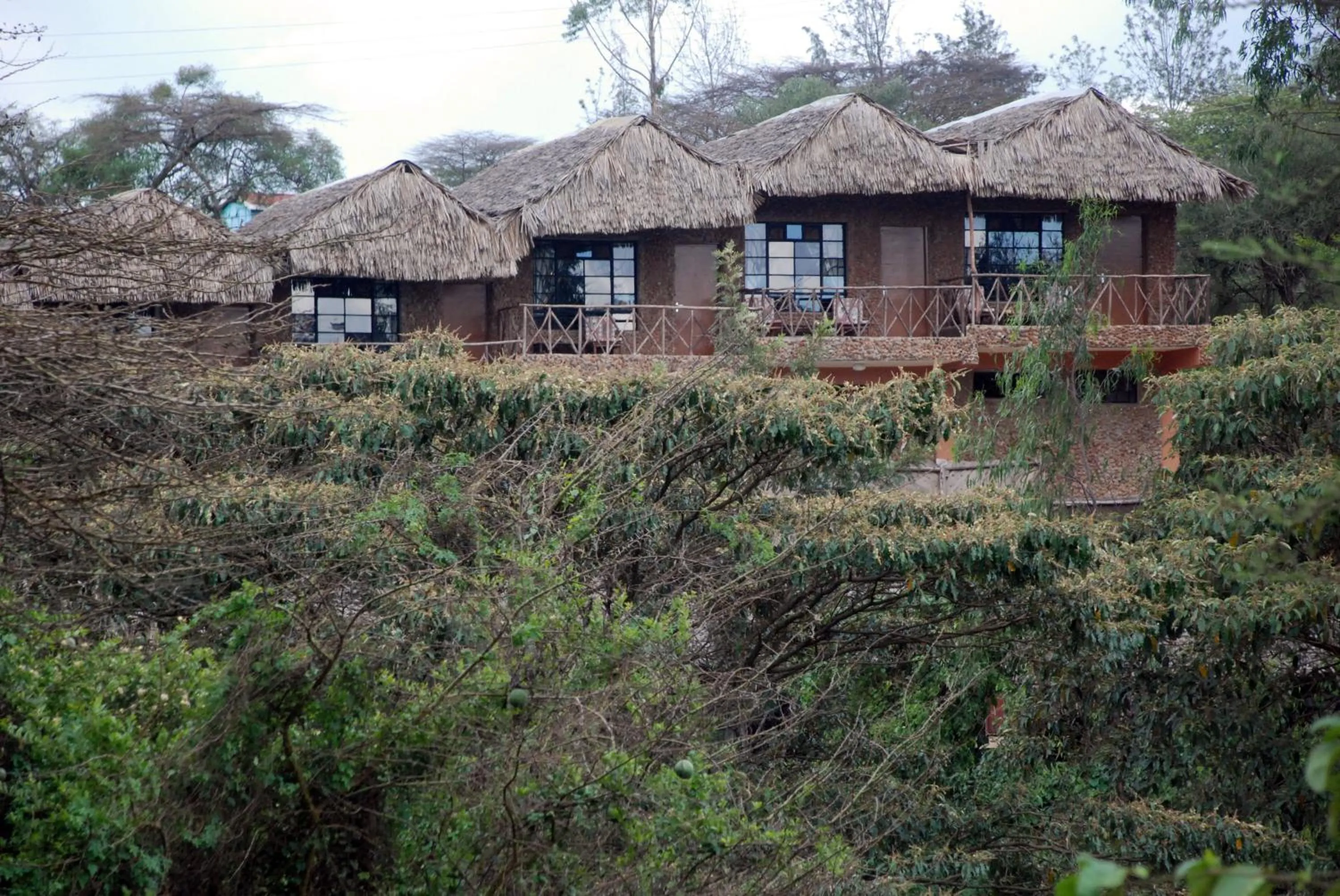 Area and facilities in Osoita Lodge