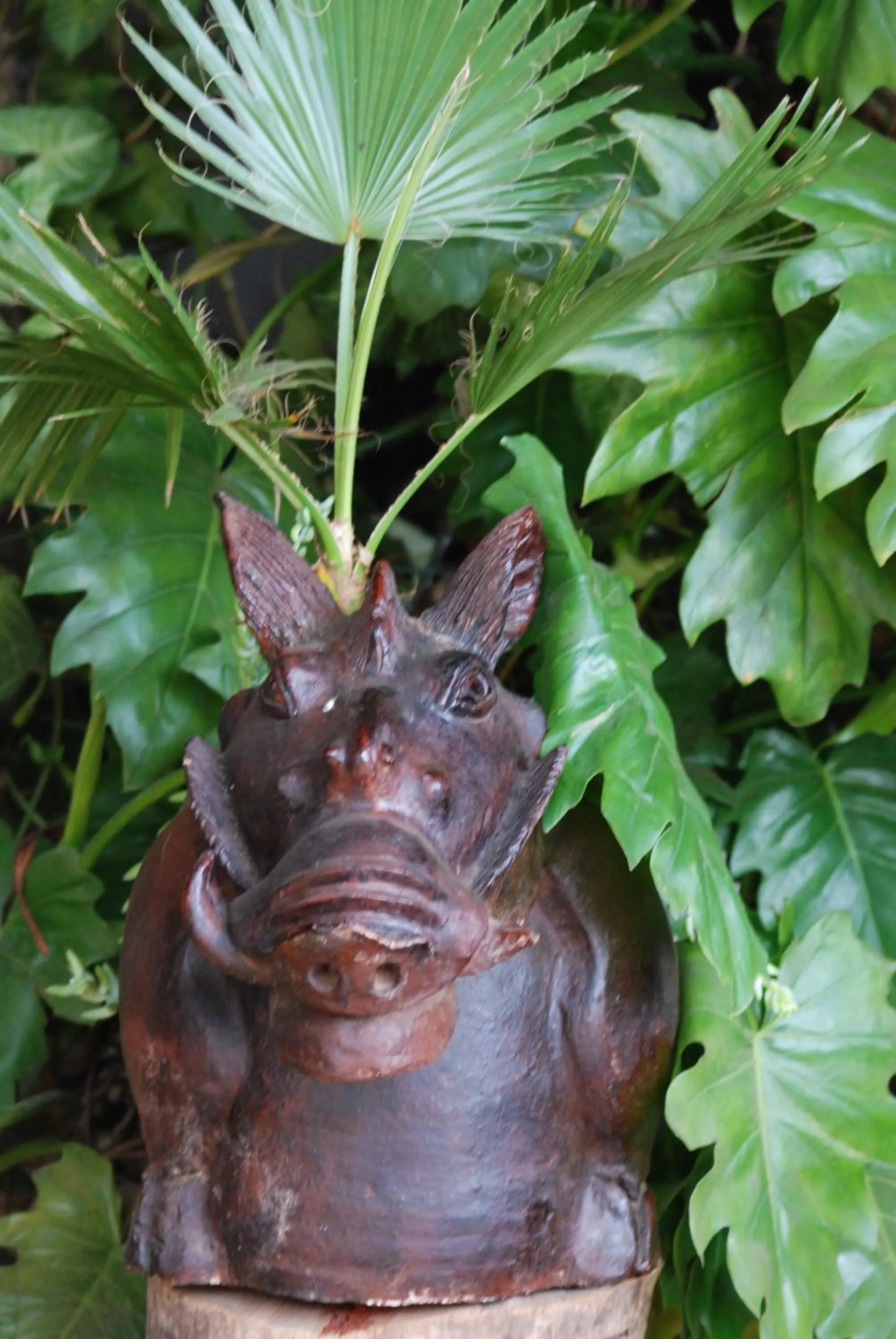 Other in Osoita Lodge