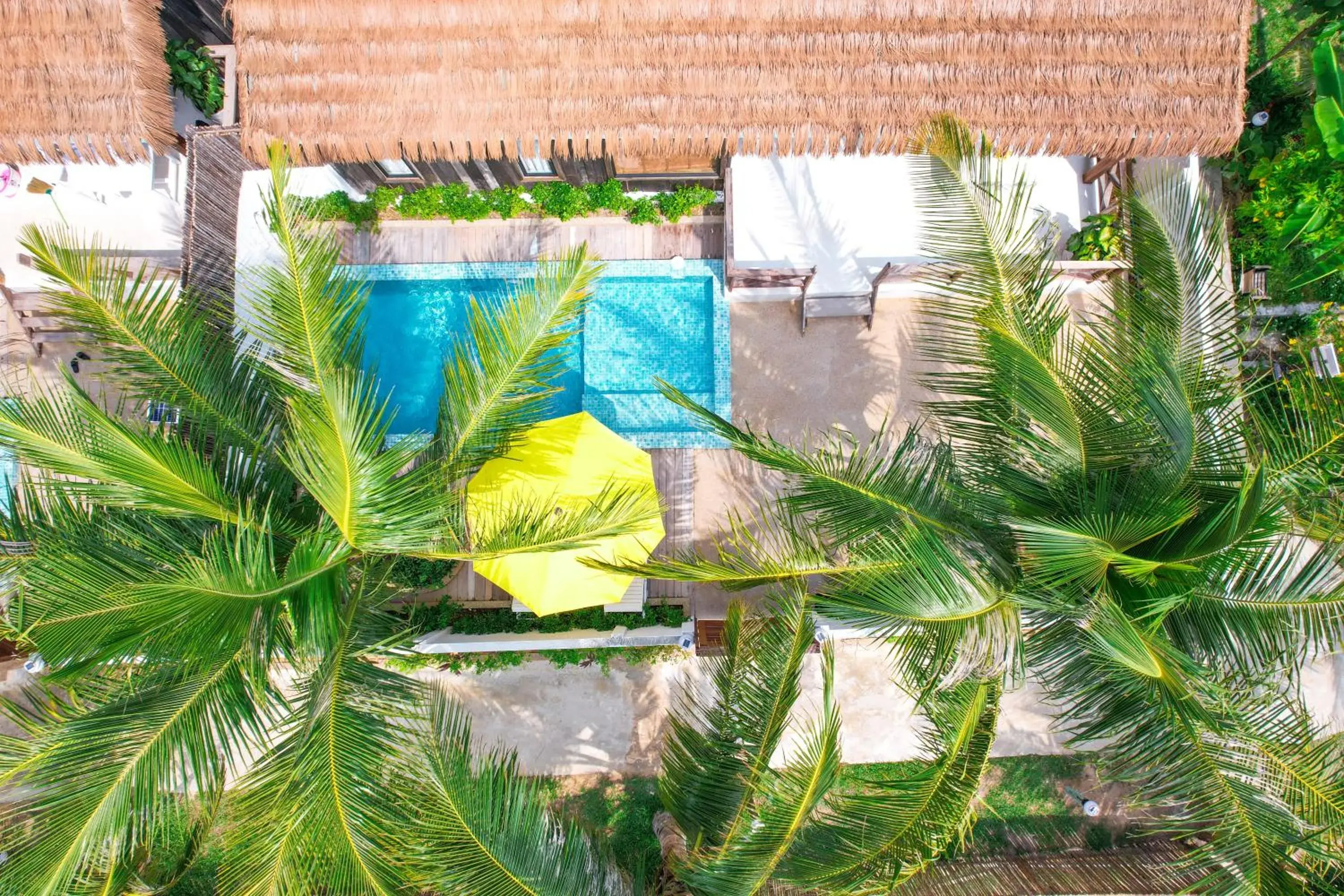 Garden view in One Beach Resort by EHM Garden view in One Beach Resort by EHM